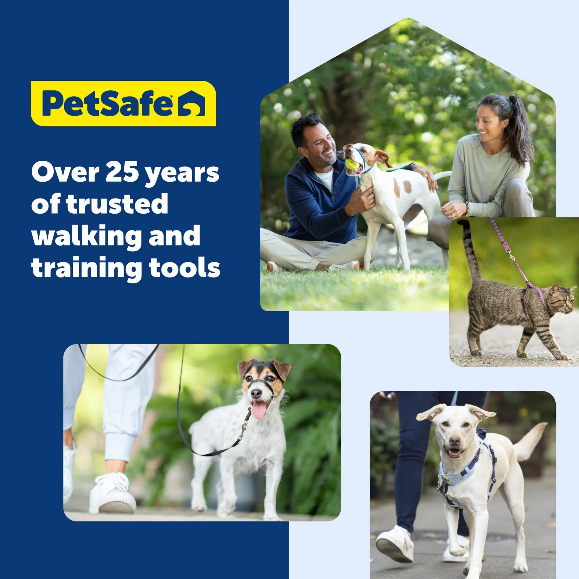 PetSafe KeepSafe Collar for Dogs - Protects Against Collar Accidents - Long Lasting - Durable - Adjustable - Breakaway - Outdoor-Safe - Small - 3/4 in. Wide - Blue