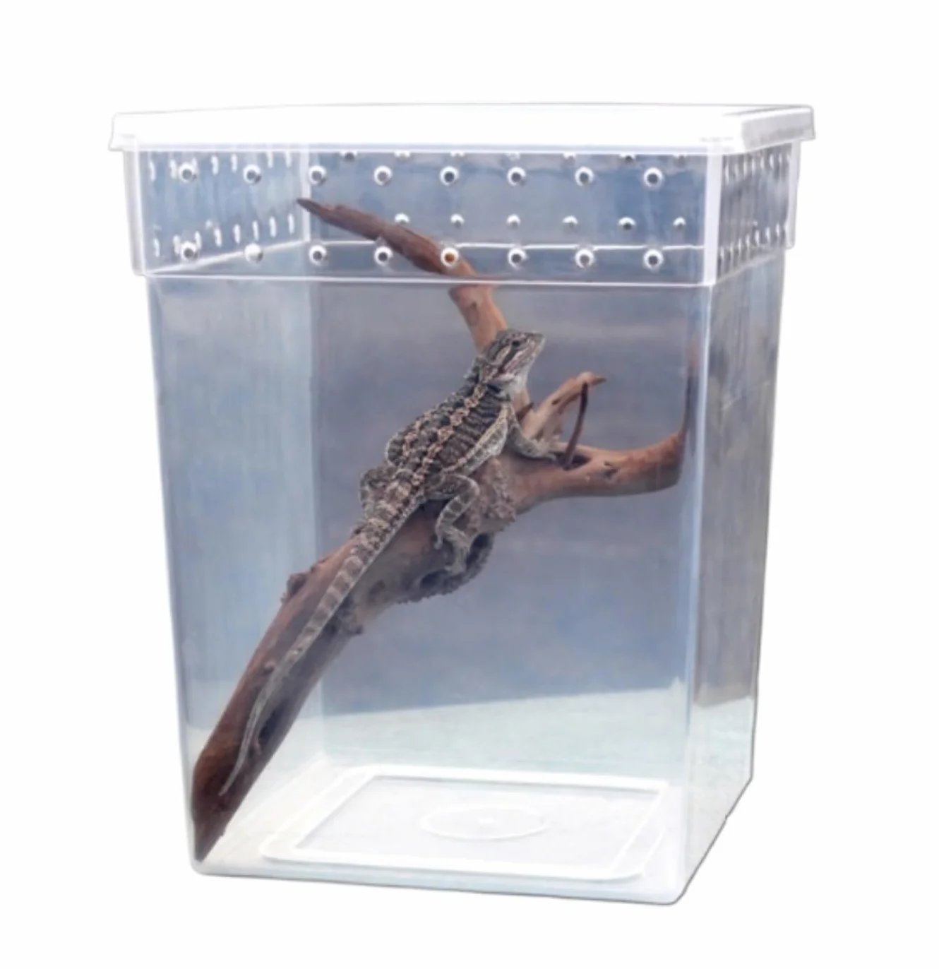 Pojemnik na Owady Terrarium Dla Gadów, Pudełko Hodowlane Dla Węża, Pustelnika, Żaby, Owada Owadów Terraria