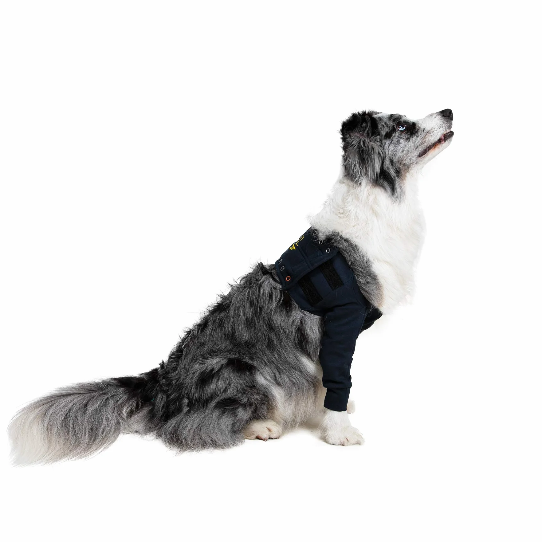 MPS Medical Pet Shirt - Taz2, Podwójny rękaw na nogi dla psa, L