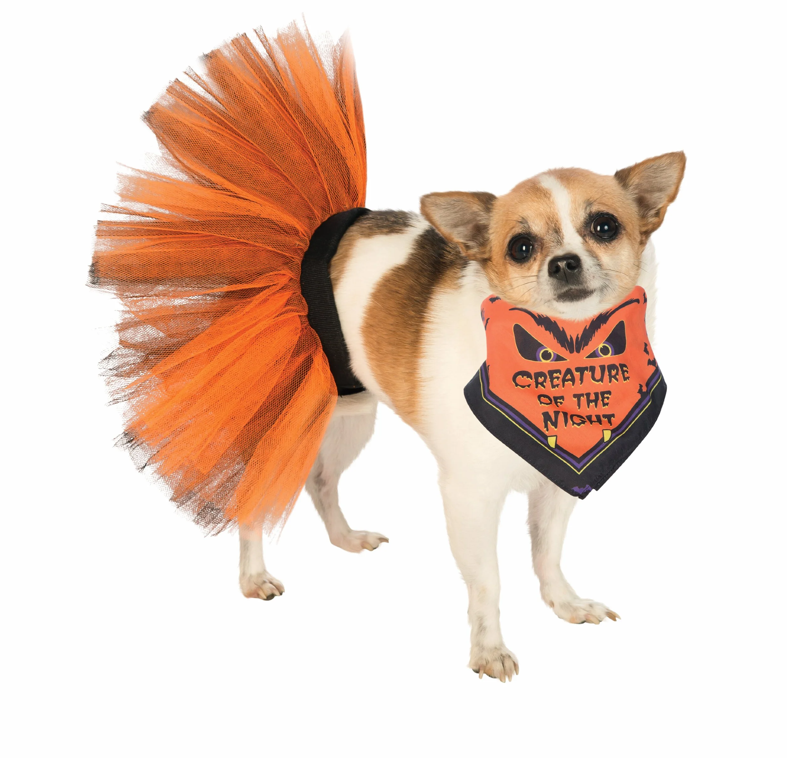 Rubie's Tutu, pomarańczowy i czarny, średni/duży