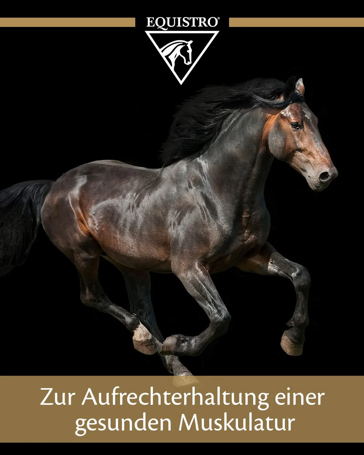 Equistro – Equistro Excell E 3 kg