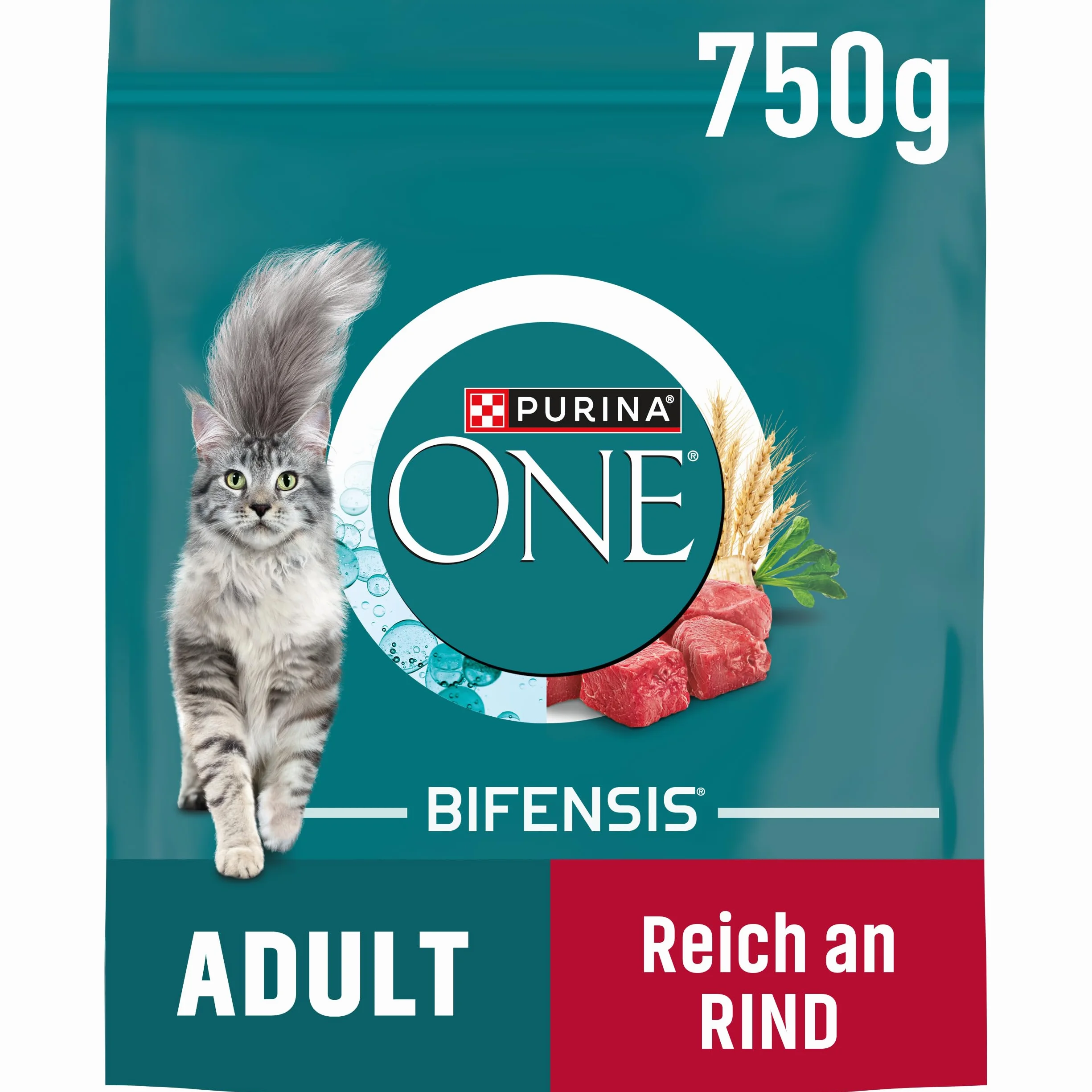 PURINA ONE BIFENSIS Karma dla kotów dla dorosłych, sucha, bogata w wołowinę, 6 sztuk (6 x 750 g)