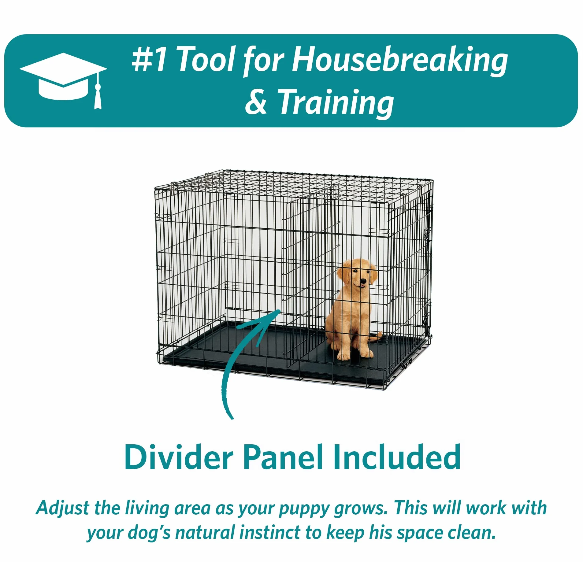 MidWest Homes for Pets 24-Inch Two-Door iCrate Folding Dog Crate with Divider Panel, Leak-Proof Tray & Secure Latches – Metal Wire Kennel for Small Breeds – Portable, Durable & Easy to Assemble