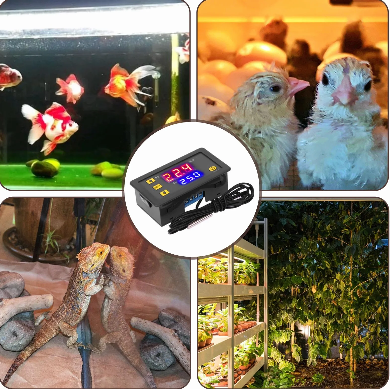 Regulator temperatury W3230 DC 12 V, 2 szt.: cyfrowy regulator temperatury, cyfrowy termostat, cyfrowy wyświetlacz, termostat do ogrzewania, chłodzenia, akwarium, inkubatora, terrarium