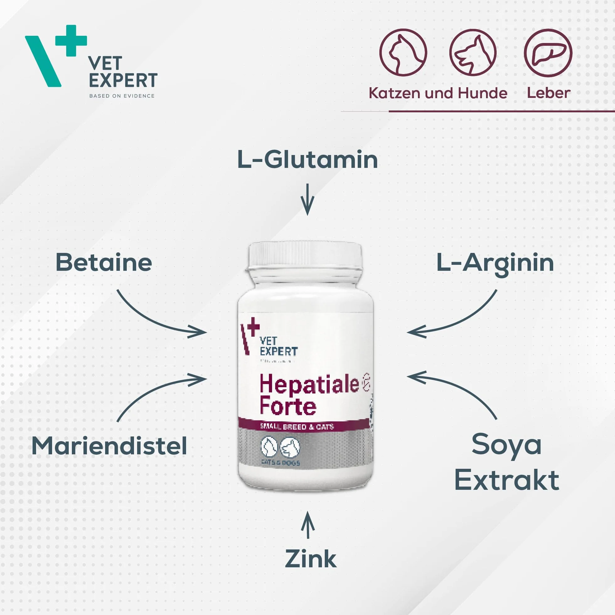 VetExpert Hepatiale Forte Small Breed & Cats Twist-Off | 40 kapsułek | karma uzupełniająca dietetyczna dla małych psów i kotów