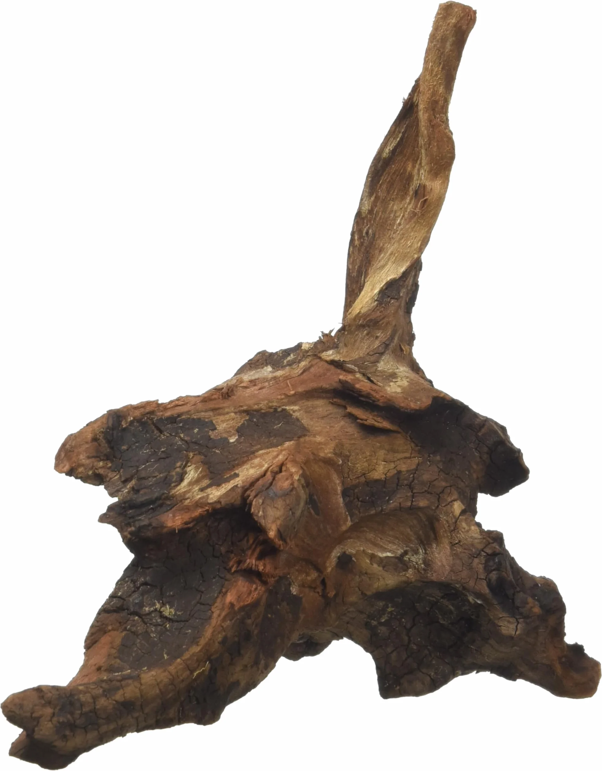 Amtra Mystic Wood 15-20 cm