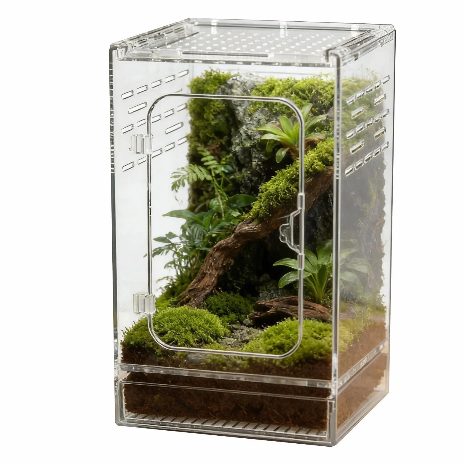 Terrarium dla pająków skaczących | Całkowicie przezroczyste i oddychające akrylowe terrarium, siedlisko dla małych gadów - idealne dla żab, ślimaków, żółwi, krabów pustelników i