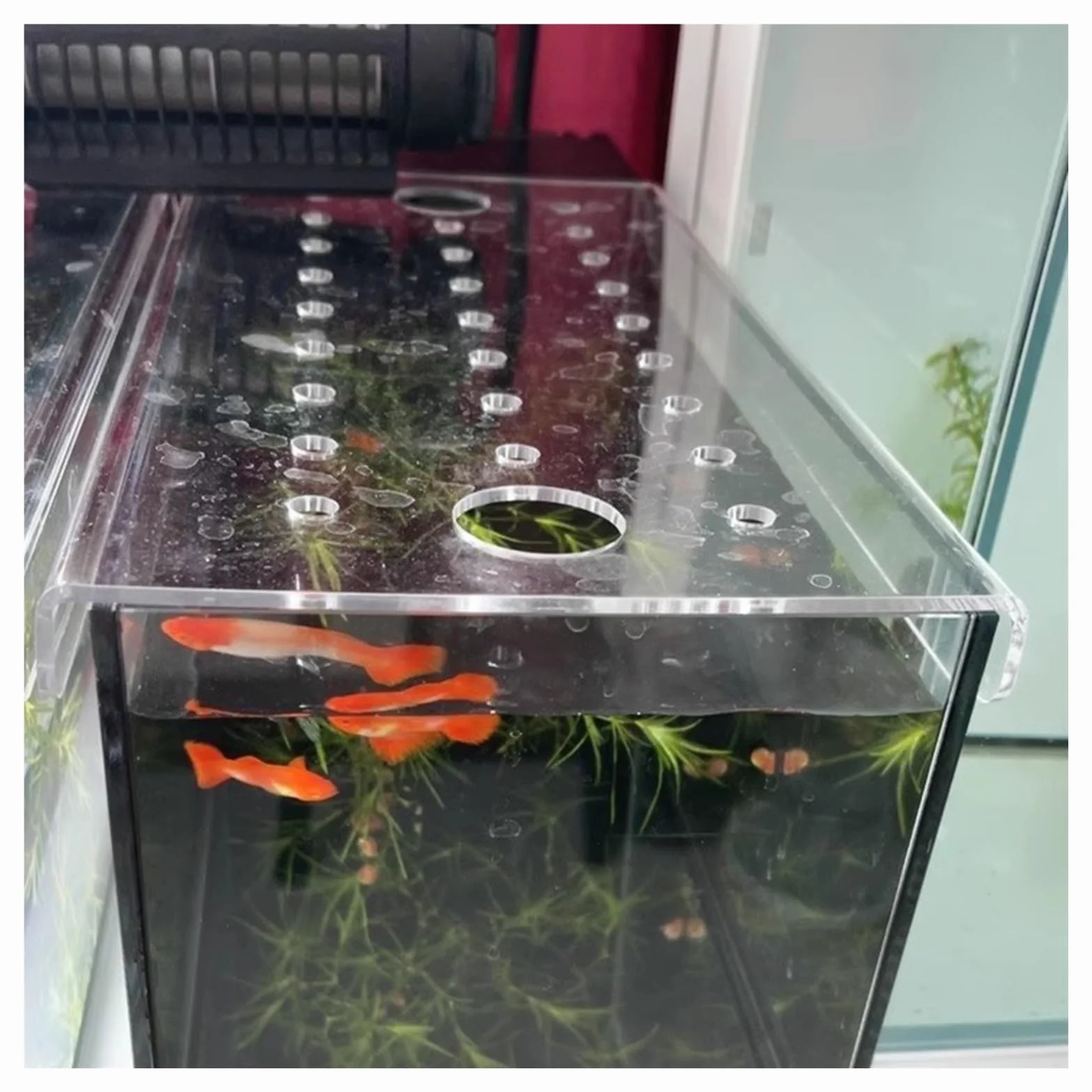 Akrylowa pokrywa do akwarium z otworem wentylacyjnym, odporna na skakanie, odporna na kota pokrywa do zbiorników rybnych 50-137 cm, idealne akcesorium do terrarium (dł. 22 x szer. 20)
