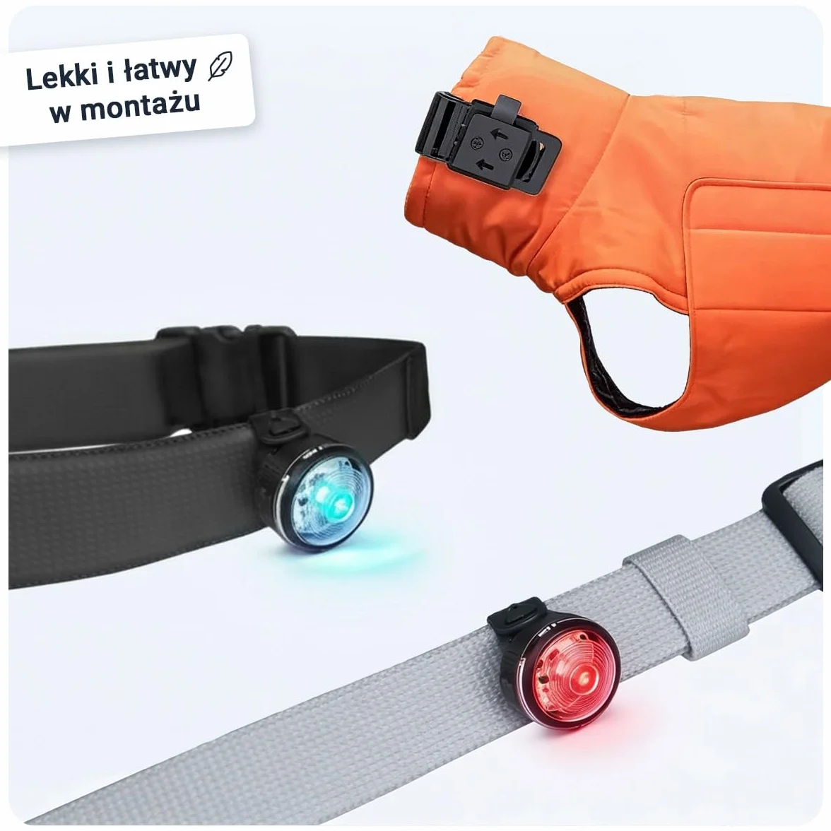 PAJ LIGHT MINI - Mini Świecąca Obroża LED Dla Małych I Średnich Psów I Kotów - Regulowane Mocowanie - 100% Wodoodporna - 7 Kolorów - Widoczność I Bezpieczeństwo W Nocy