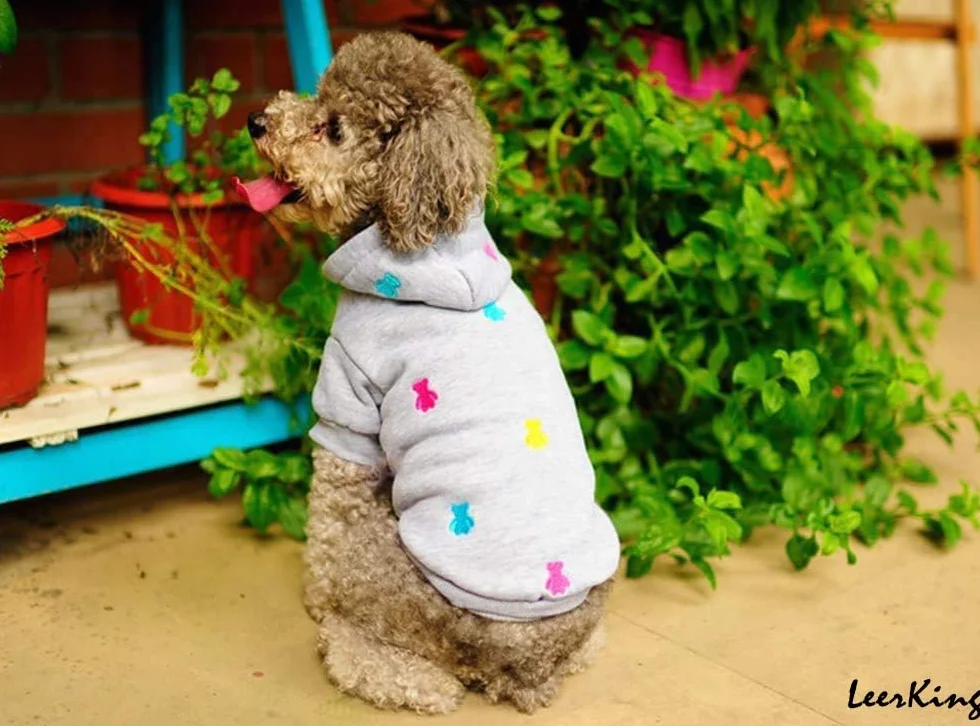 LeerKing Dog Sweter Fleece Pullover Hoodie Piżama puszysty kot sweter dla małych średnich psów Francuski Bulldog Odzież Dachshund Chihuahua XS