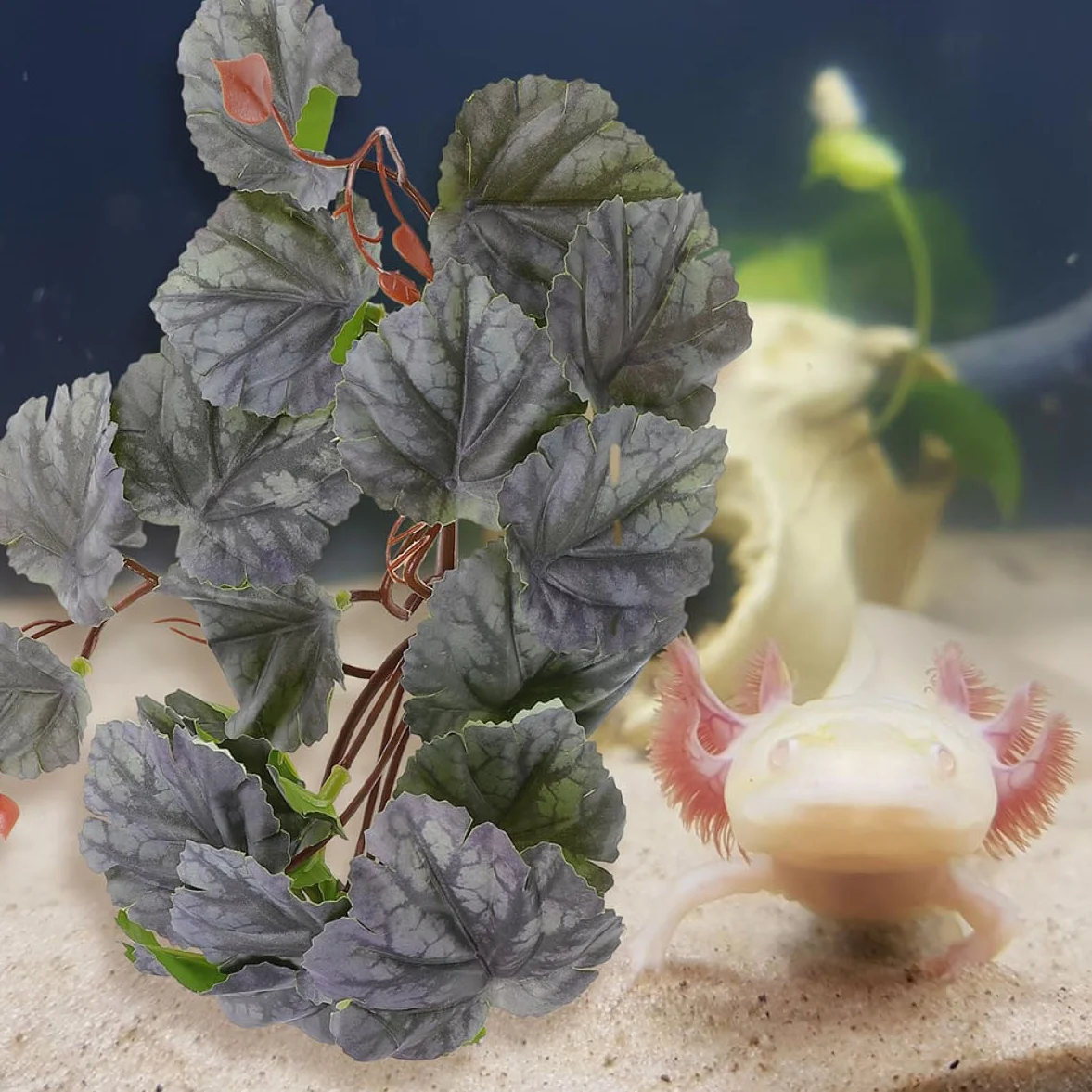 5szt Przyssawki Do Roślin Wiszących Rośliny Kraba Pustelnika Terrarium Wodospady w Terrariach Dla Gadów Rośliny Do Terrariów Monstera Wąż Zakład Zbiornik Wodny Plastikowy