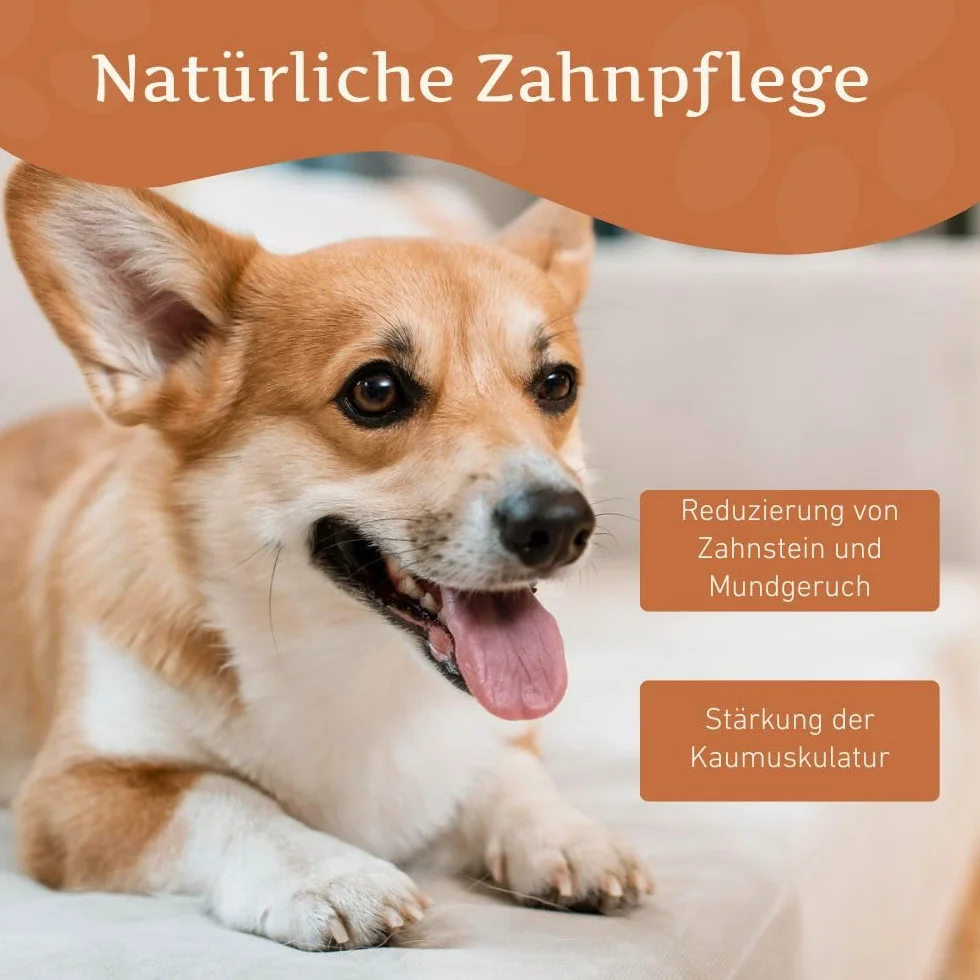 Wildfang® ser himalajski dla psa, naturalny gryzak z sera twardego, d?ugotrwa?a przyjemno?? z gryzienia, bezzapachowy, niet?uk?cy, dla wszystkich psów i szczeni?t