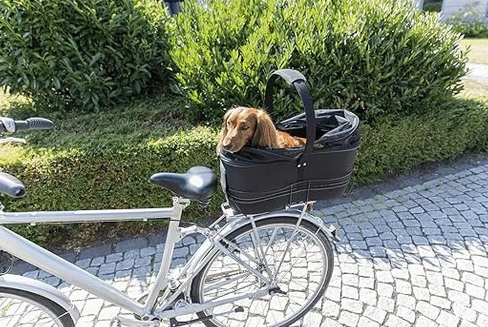 Trixie 13110 Transporter Rowerowy, Czarny, 60 x 29 x 49 cm