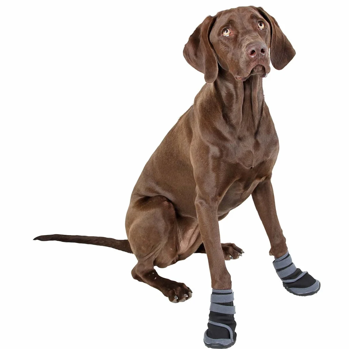 Kerbl Paw Protection Active XL, szary/czarny