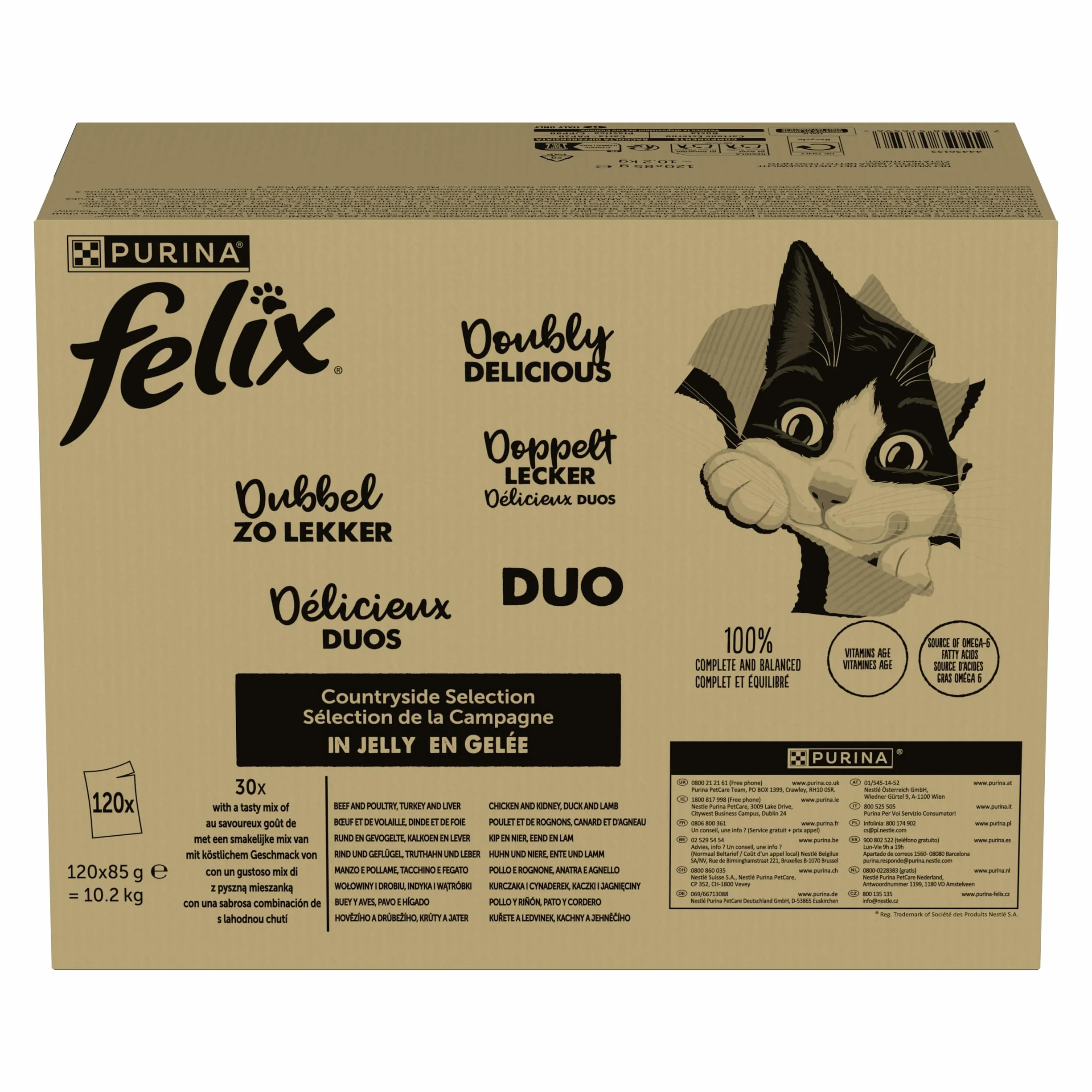FELIX FANTASTIC Wiejskie Smaki DUO | Karma mokra dla dorosłych kotów | Mix smaków w galaretce | 120x85g