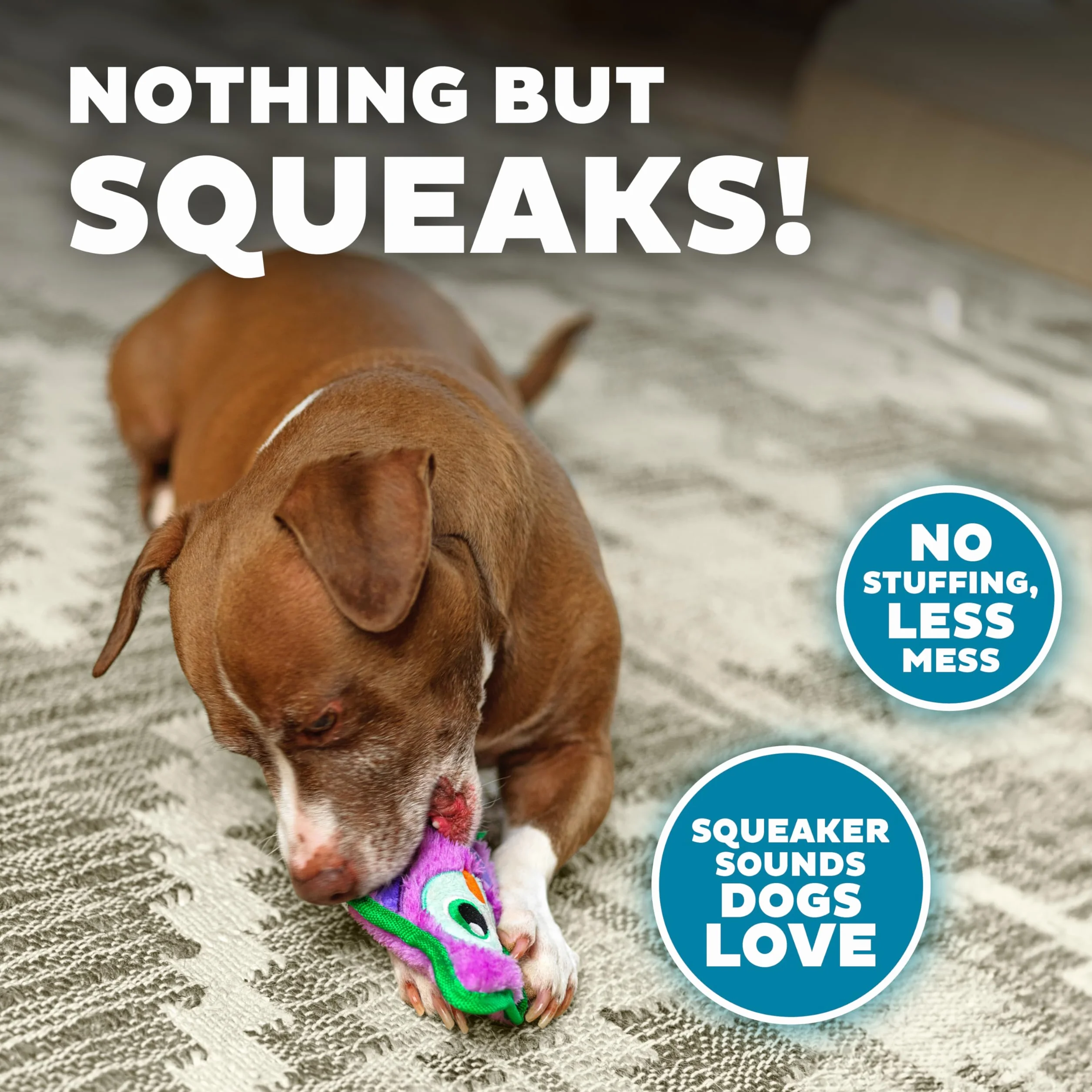 Outward Hound Invincibles Squeaky Dog Toy