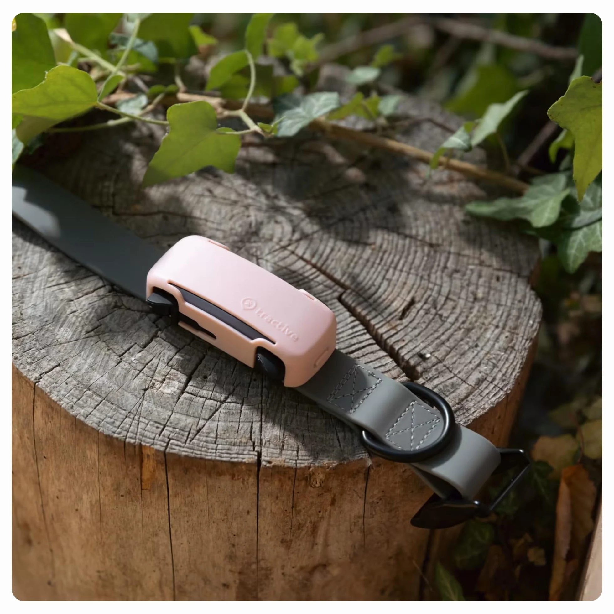 Tractive etui na lokalizator GPS DOG 6 — żółte