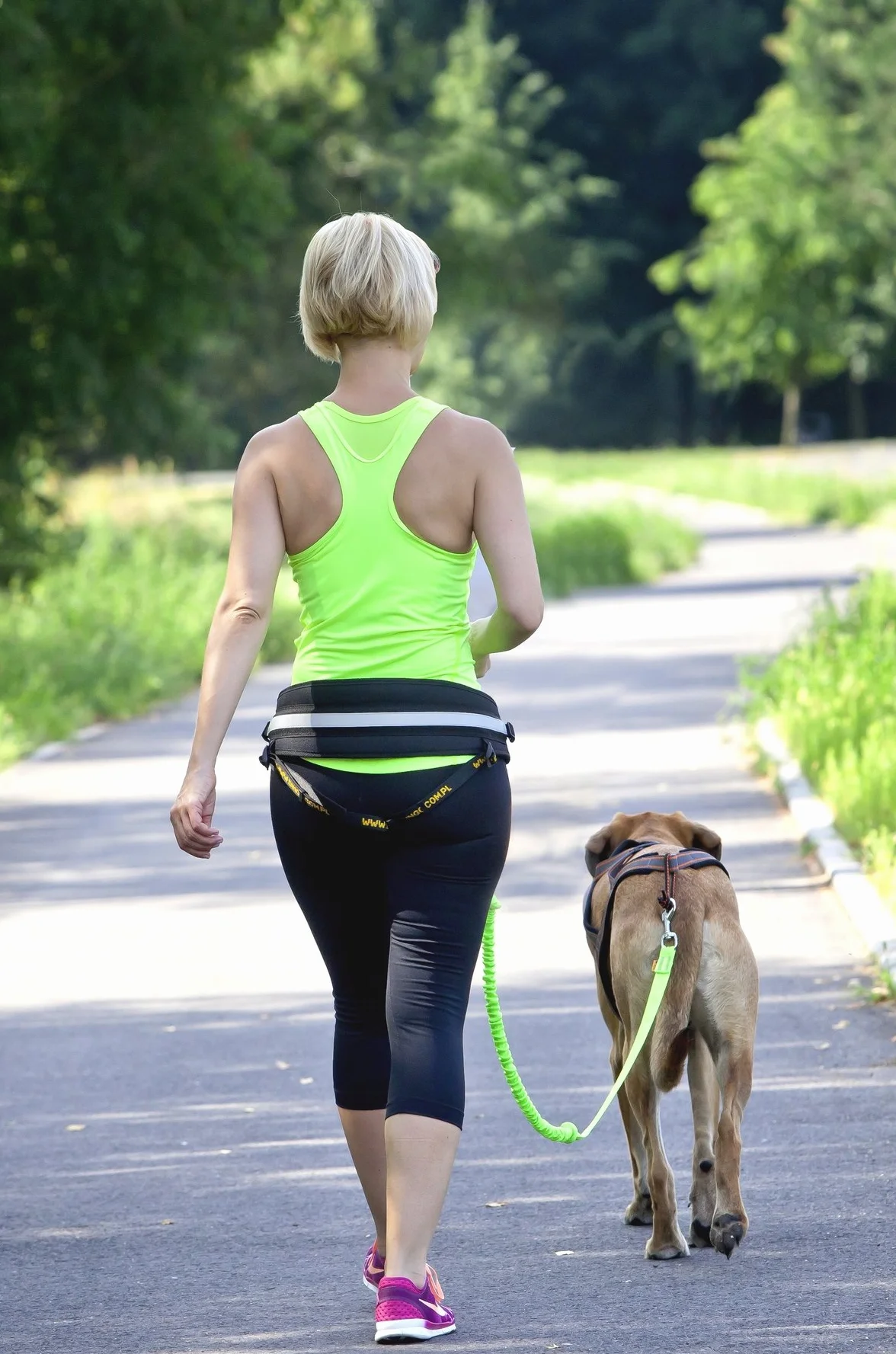 DINGO Pas Canicross 4 w 1, uniwersalny, regulowany, bezpieczny, odblaskowy, wielofunkcyjny, bez użycia rąk, do biegania, uprawiania sportu, joggingu, treningu, czarny (12780-2)