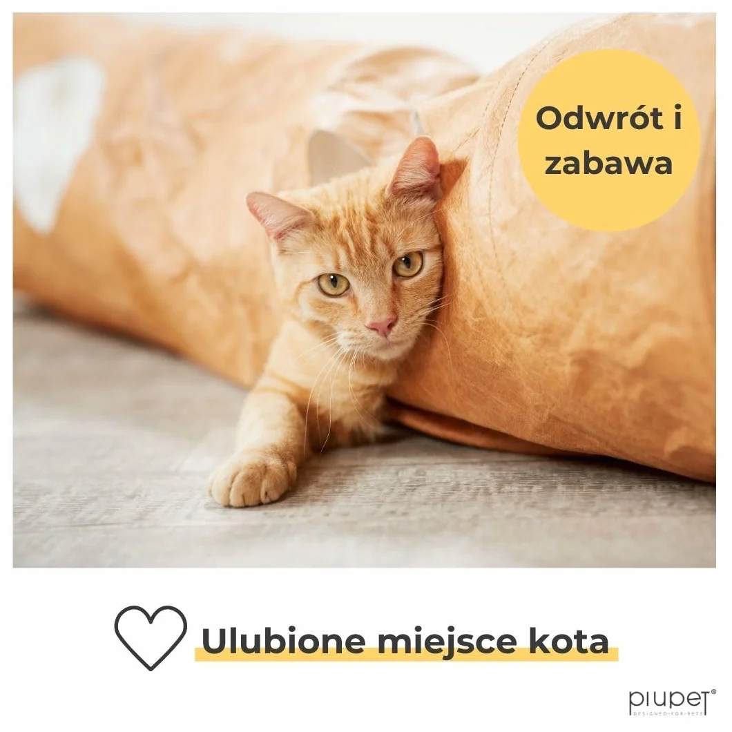 PiuPet® Tunel dla kota - Tunel do zabawy dla kotów - Zabawki dla kotów - Tunel z zabawkami dla kotów