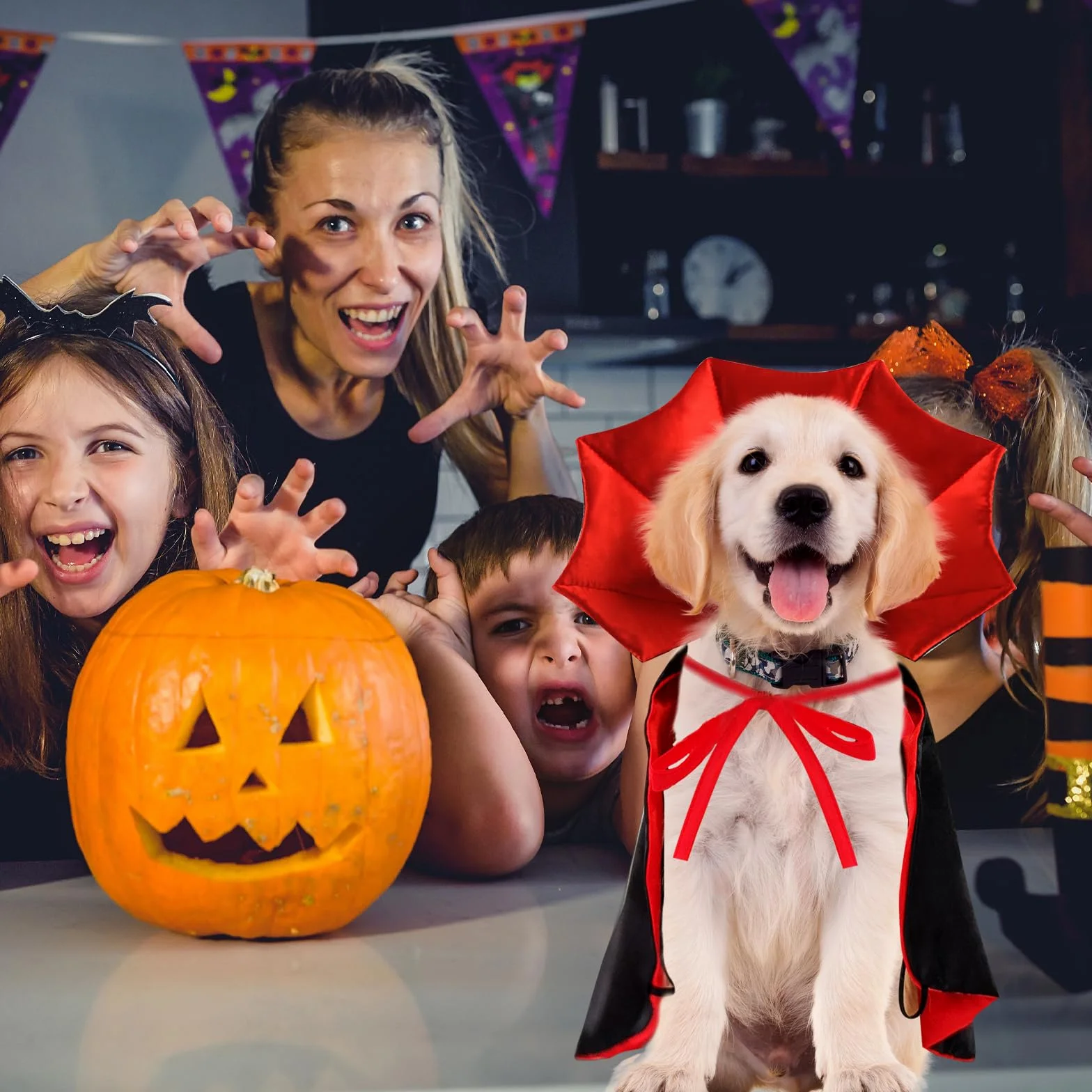 Peleryna wampira dla zwierząt domowych, kostium dla kotów i małych psów, zabawny regulowany płaszcz dla zwierząt domowych, odzież na Halloween, urodziny, sesję zdjęciową, akcesoria do przebrania