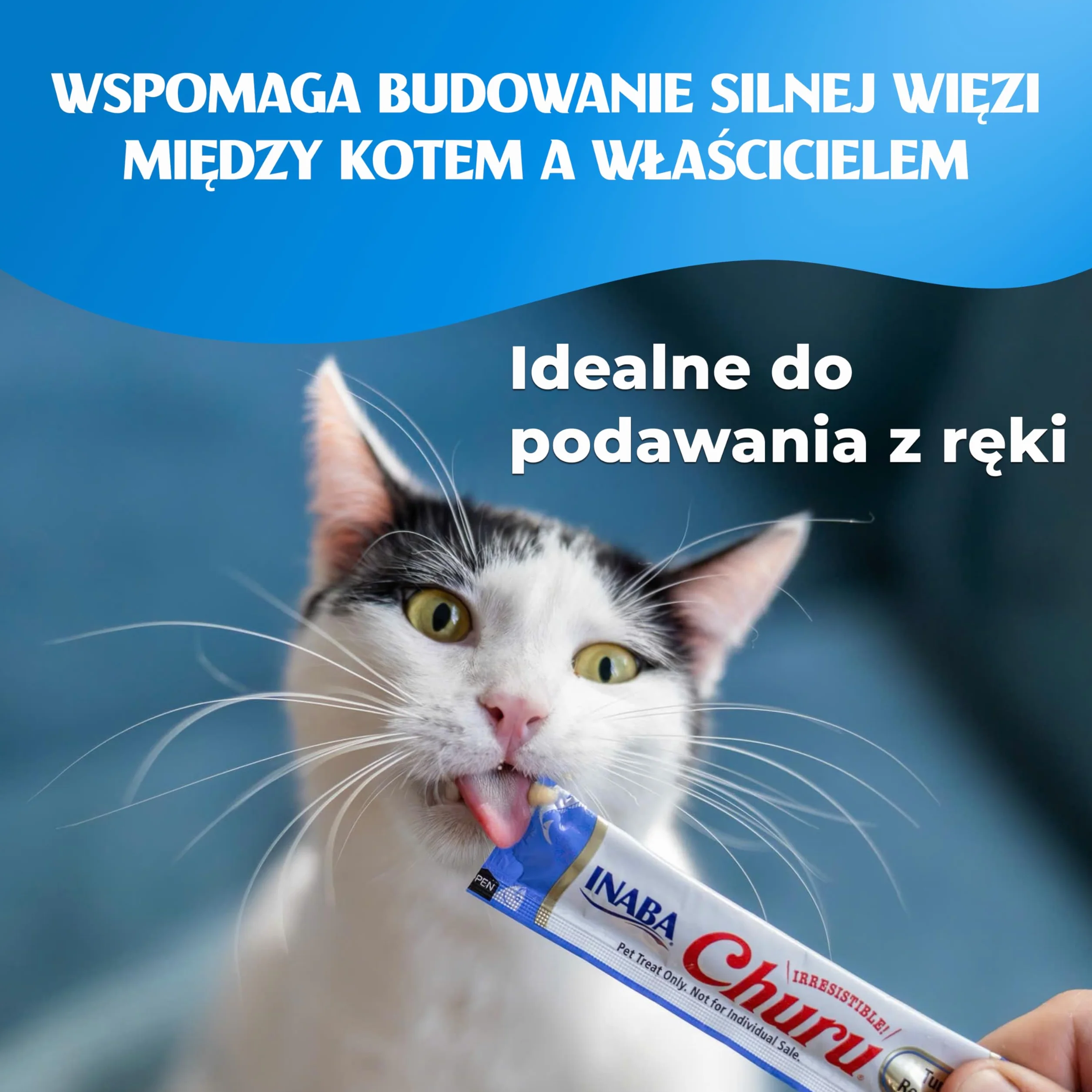 INABA Churu Przysmaki dla kotów wykonane z wysokiej jakości składników, bogate w wilgoć i białko, niskokaloryczne, bez zbóż i cukru, 80 x 14 g