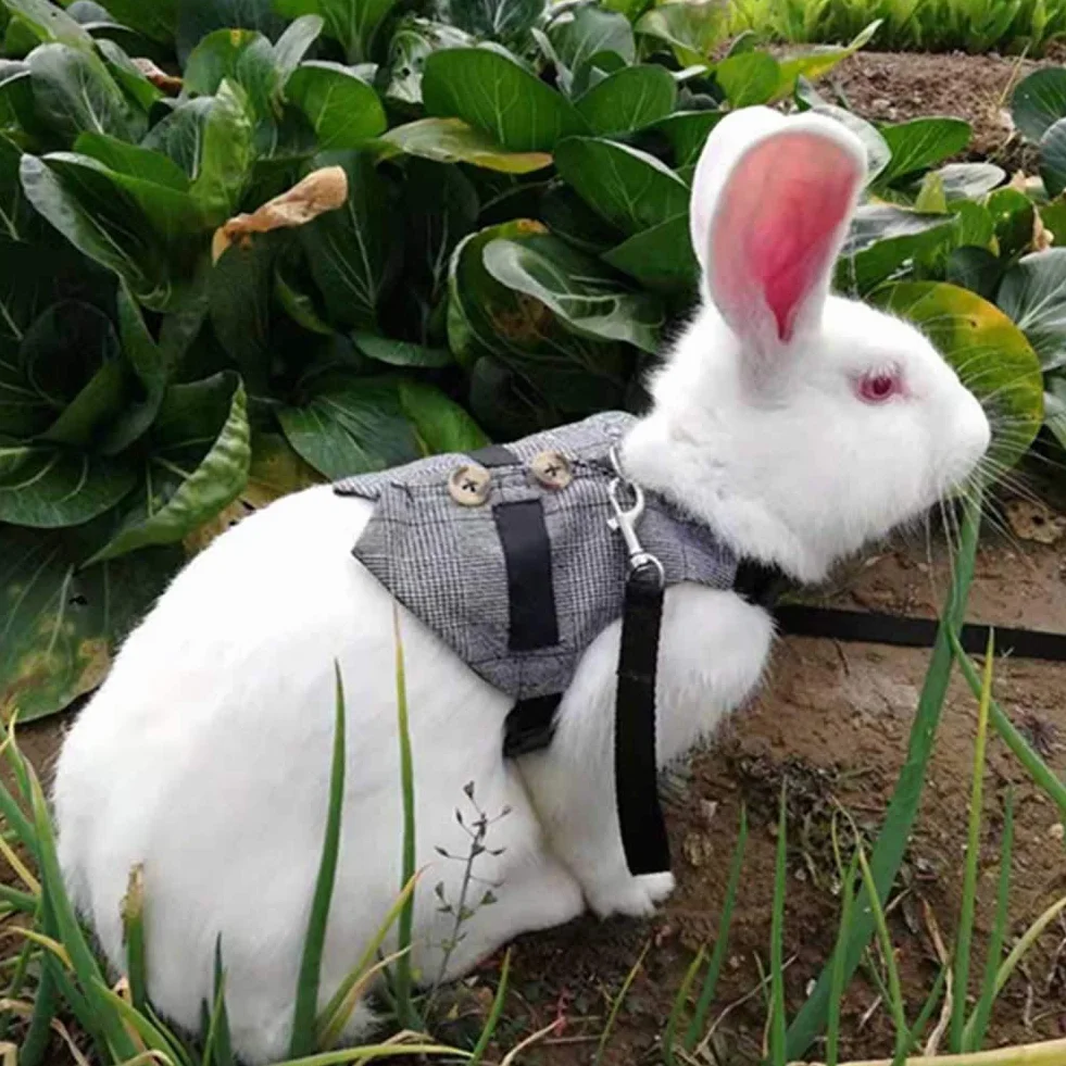 Tnfeeon Rabbit Soft Breathable Harness mit Leine, Pet Rabbit Kleintier Walking Harness Weste Leine Blei(L)