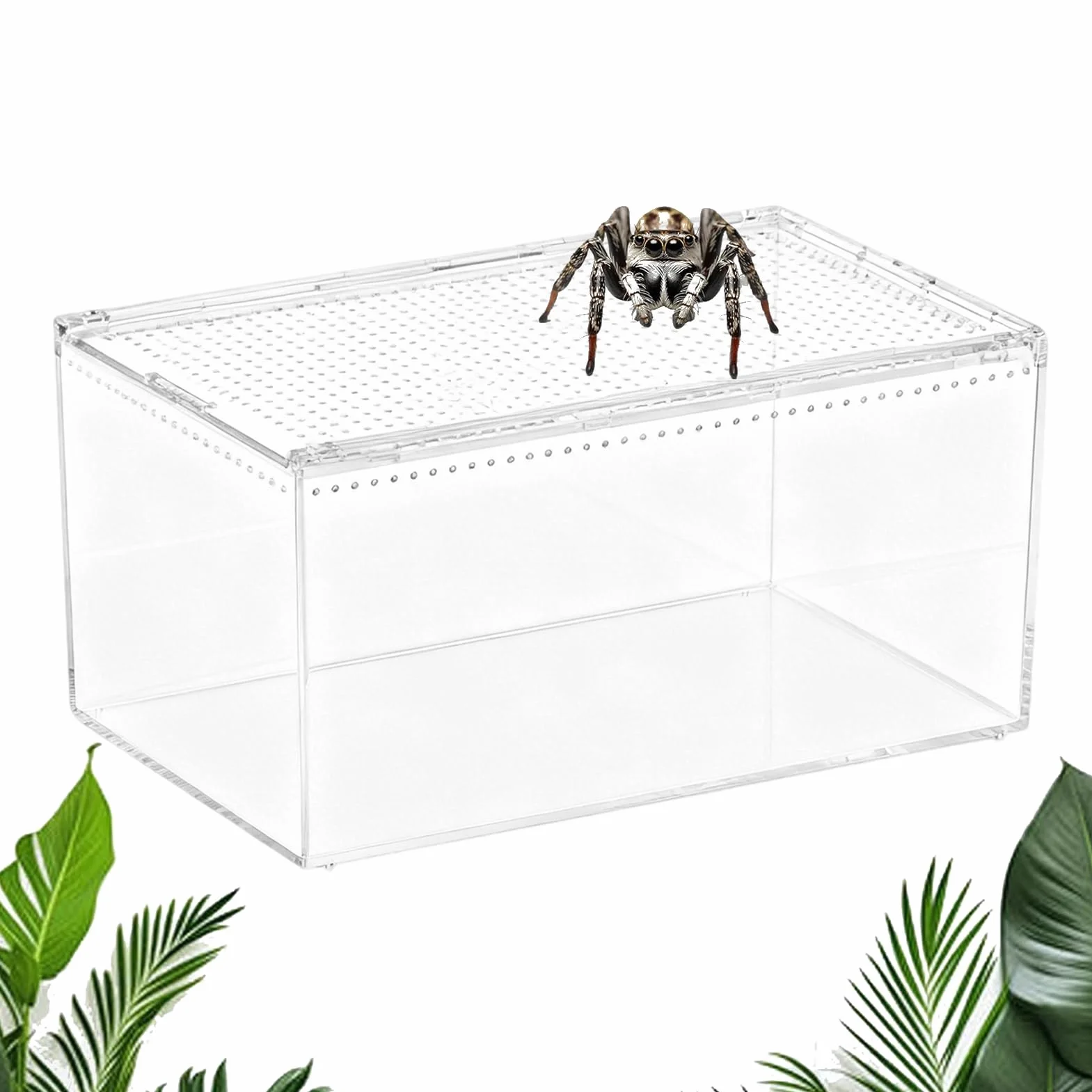 Terrarium Dla Skaczących Pająków Wentylowane Przezroczyste Akrylowe | Klatka Dla Pająków I Terrarium Dla Modliszek Dla Płazów Żab Krabów Gekonów Węży Żółwi Agam Brodat