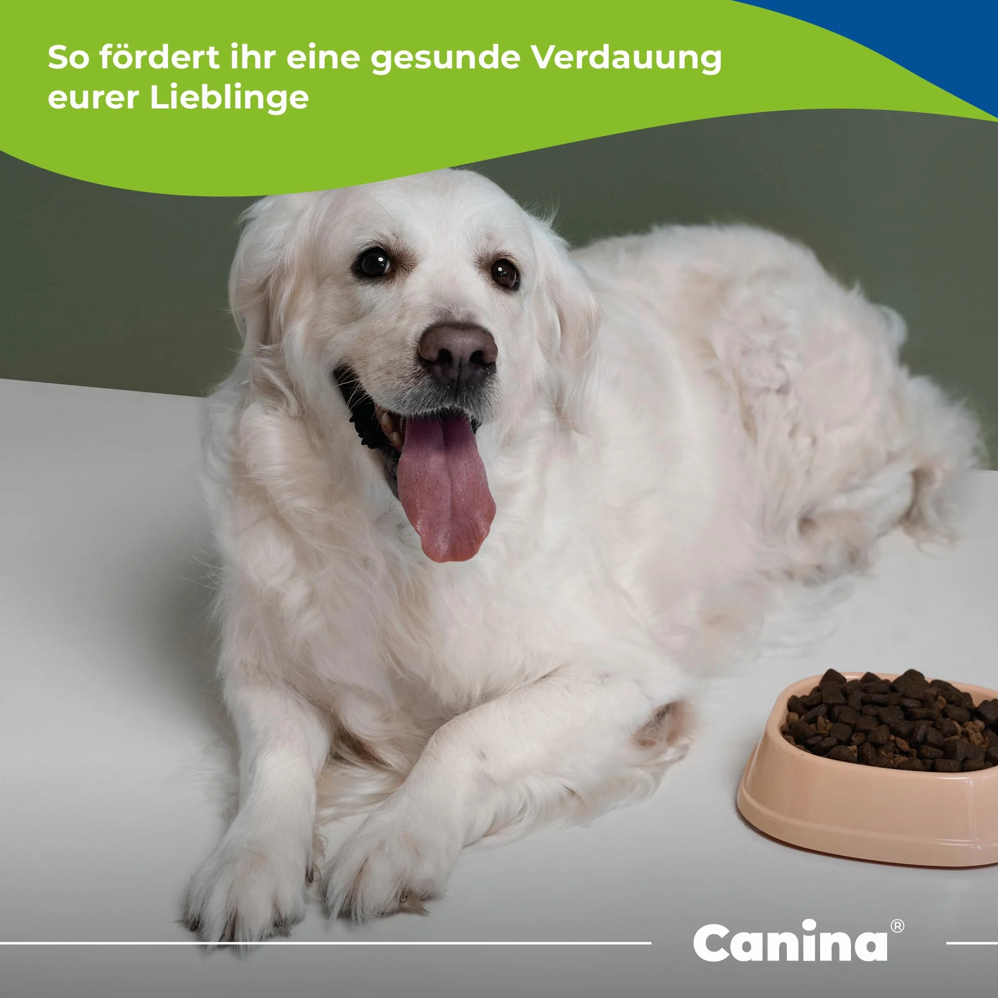 Canina Celuloza w proszku, mieszanka, 1 opakowanie (1 x 400 g)