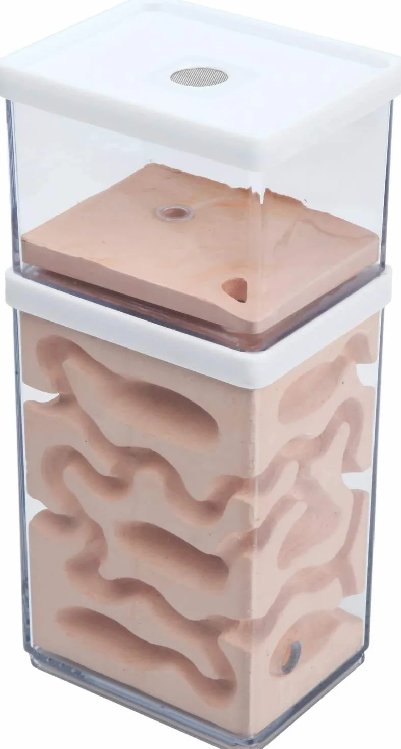 aleawol Naturalna farma mrówek, gniazdo mrówek z gipsu, przezroczysty domek dla mrówek, pudełko do hodowli mrówek, terrarium, domku, Ant Farm Ant Nest Habitat