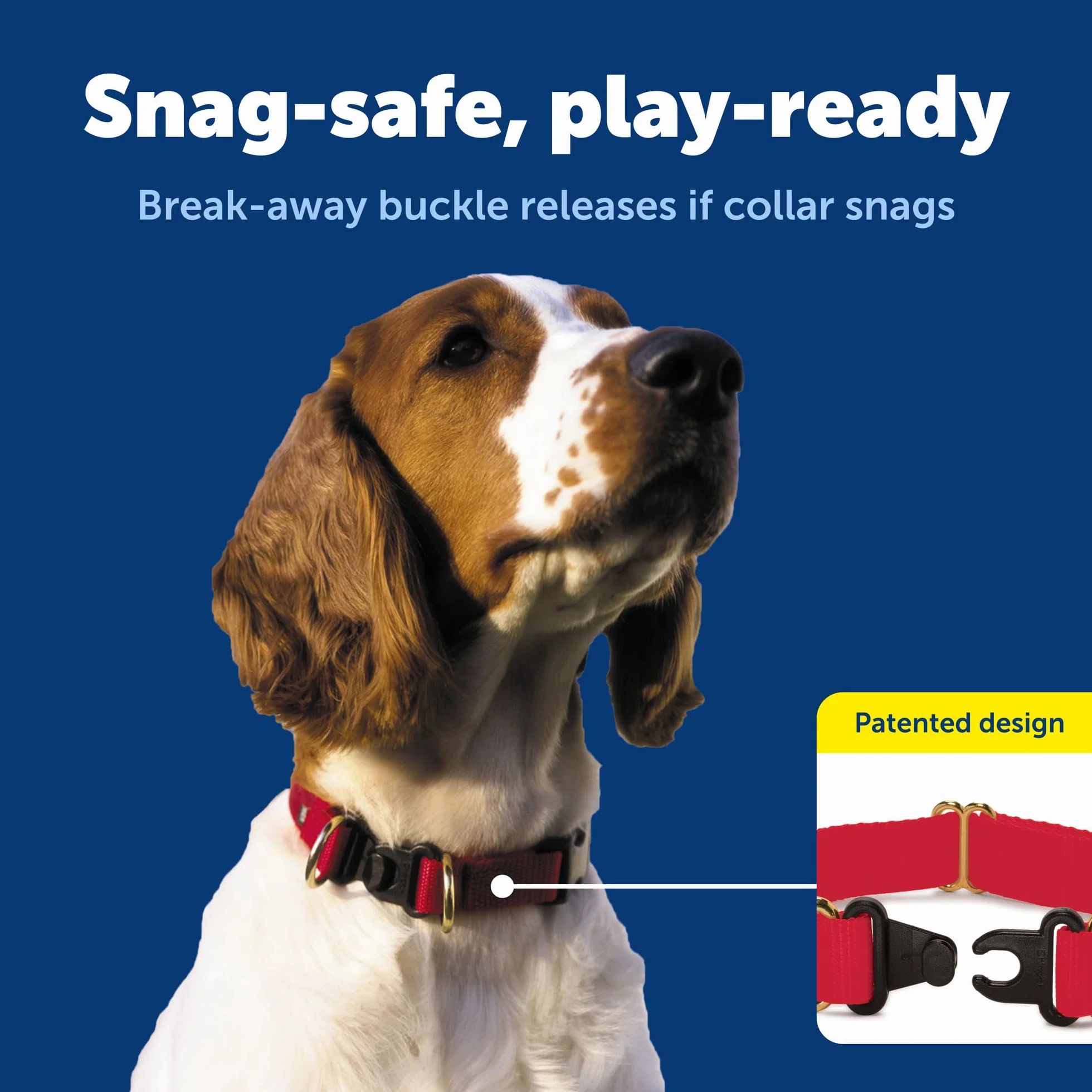 PetSafe KeepSafe Collar for Dogs - Protects Against Collar Accidents - Long Lasting - Durable - Adjustable - Breakaway - Outdoor-Safe - Small - 3/4 in. Wide - Blue