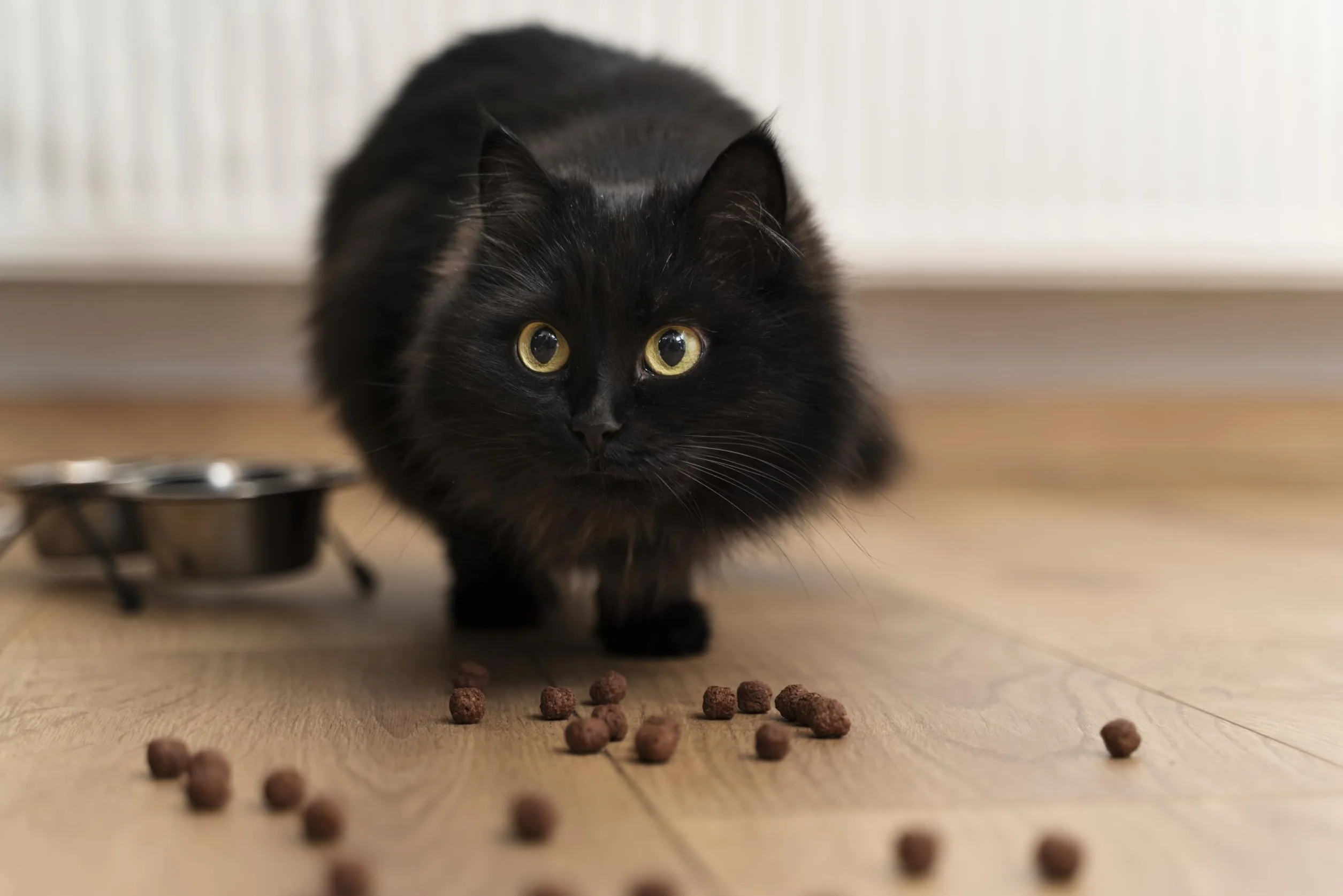 Canina Proszek do krwi bydlęcej 250 g