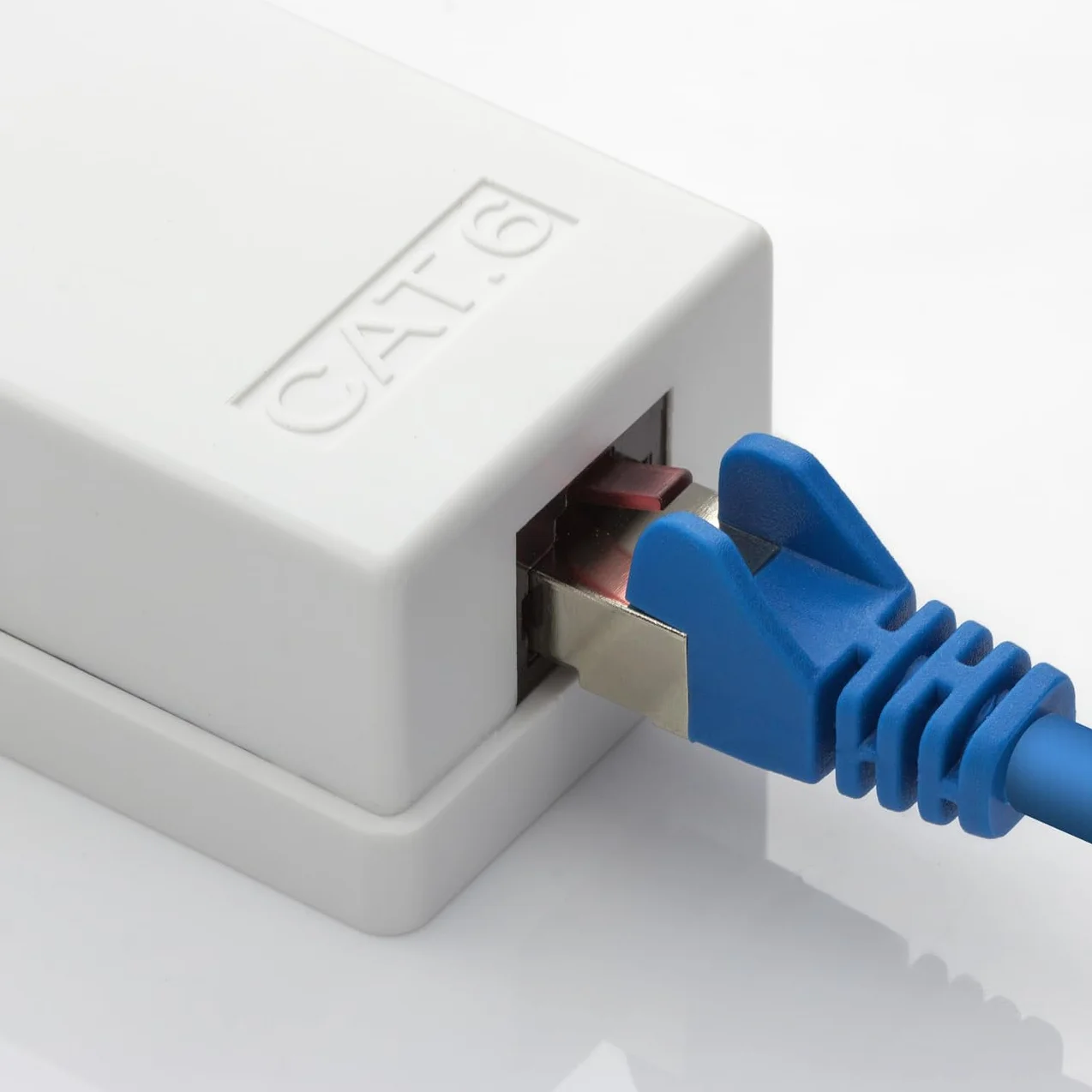 deleyCON 2x Gniazdo sieciowe CAT 6 1x RJ45 Natynkowe (Montaż natynkowy) 1 Gbit Ethernet LAN Kolor RAL 9003 Biały