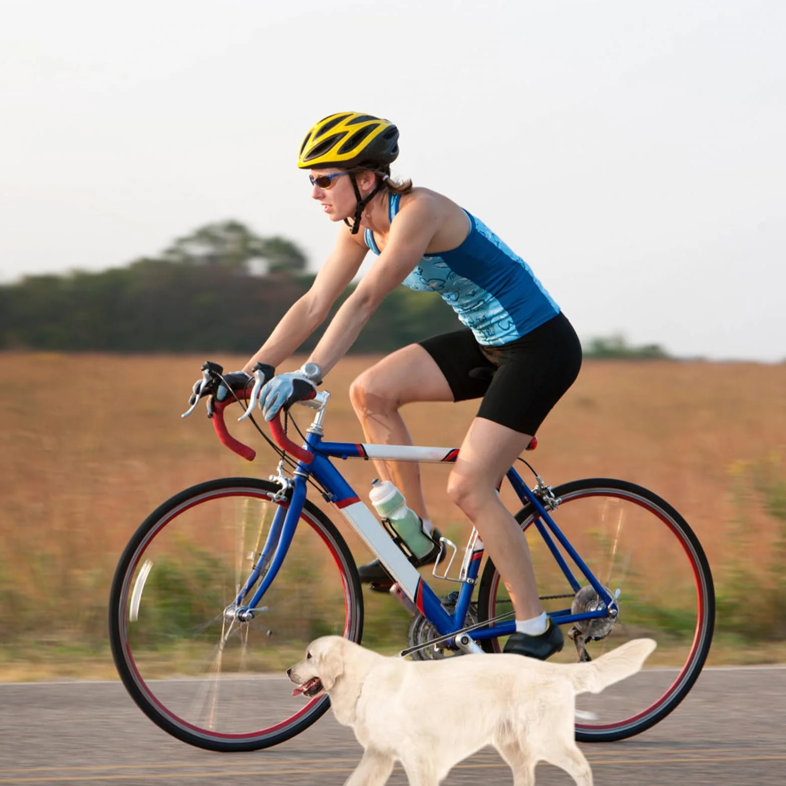 GAOUTO Smycz rowerowa dla psa, bez rąk, smycz rowerowa z sprężyną uderzeniową i uchwytem dystansowym, łatwa instalacja i demontaż, smycz rowerowa do biegania, joggingu, wędrówek