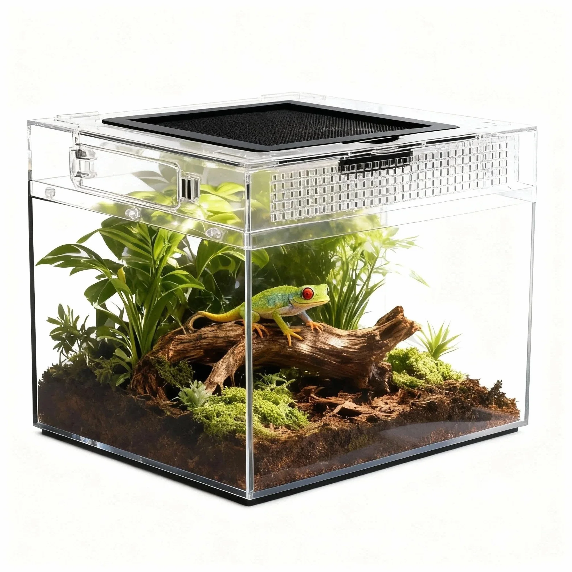 360° Terrarium PC dla gadów, 30*18*22cm Przezroczysta skrzynka karmiąca dla ślimaków, owadów, żółwi wodnych, ptasich pająków, skakunek, gekona lampurskiego, smoka brodacza, żaby (12*7*9 cali)