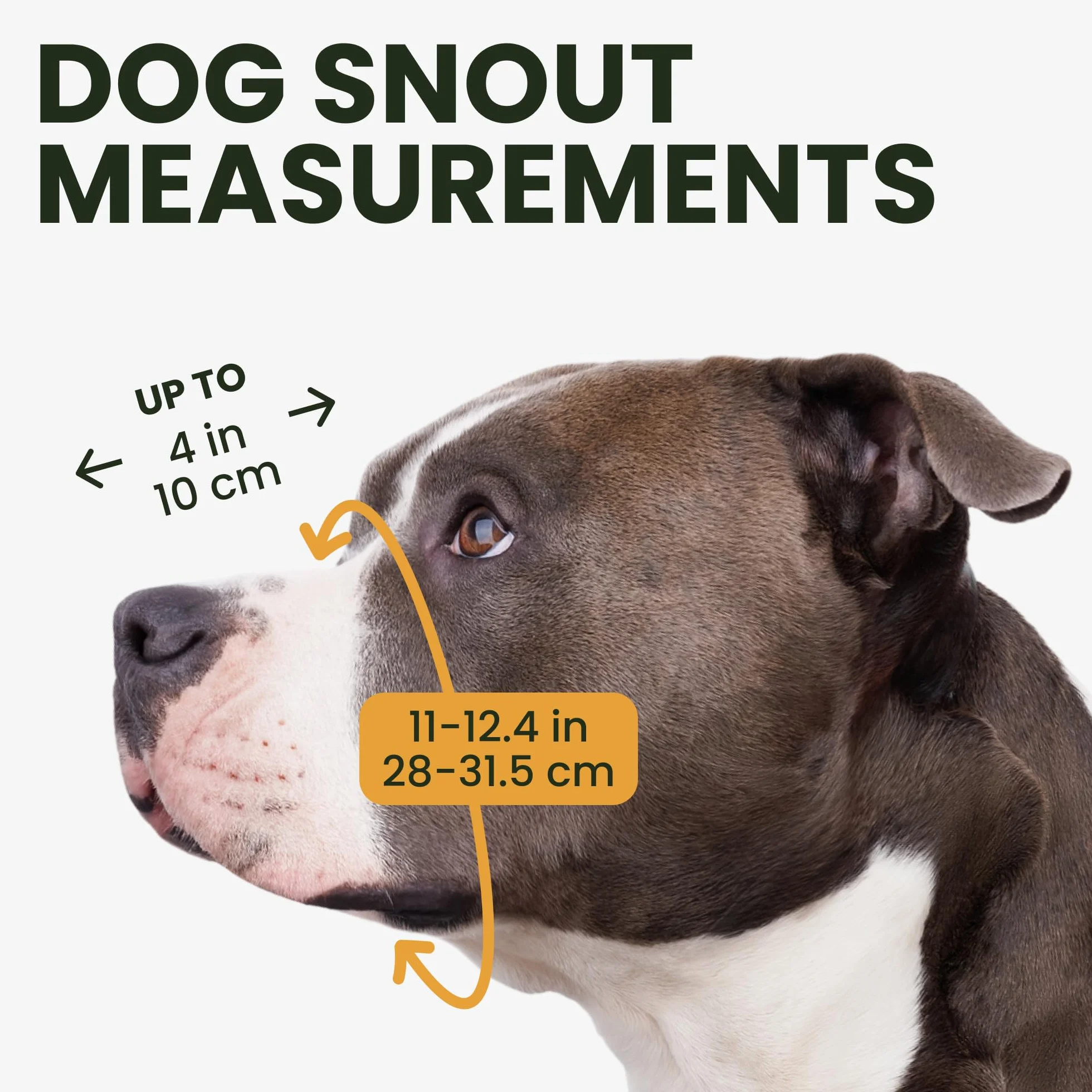 BRONZEDOG Pitbull Kaganiec dla psa metalowa maska Amstaff kosz druciany Pit Bull regulowane skórzane paski dla dużych psów (czarna)