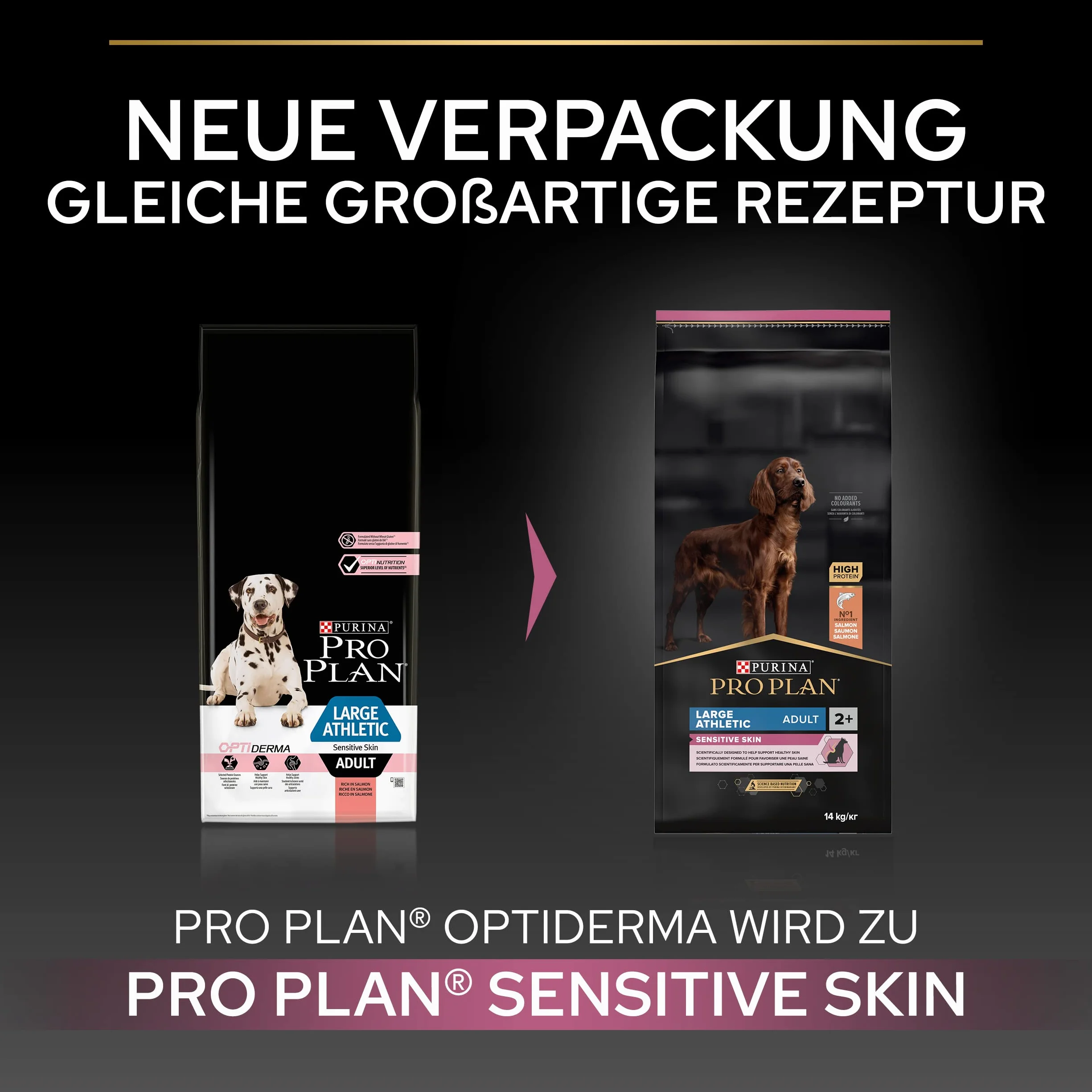 PRO PLAN | Sensitive Skin | Large Athletic Adult | Karma dla psów bogata w łososia | 14 kg
