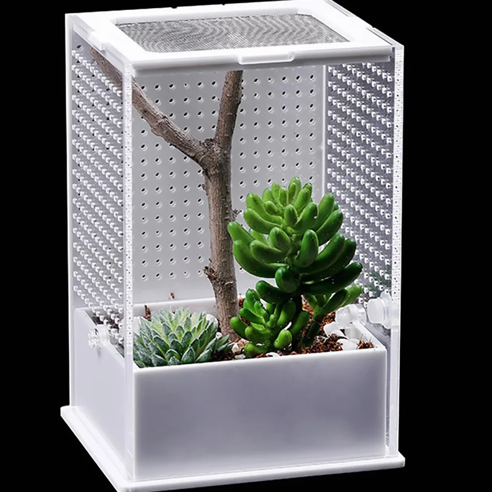 Akrylowe terrarium dla gadów, zbiornik dla gadów do wzrostu, mini terrarium do wzrostu gadów, siedlisko dla gadów dla zwierząt domowych, pudełko do żerowania dla gadów i płazów,S