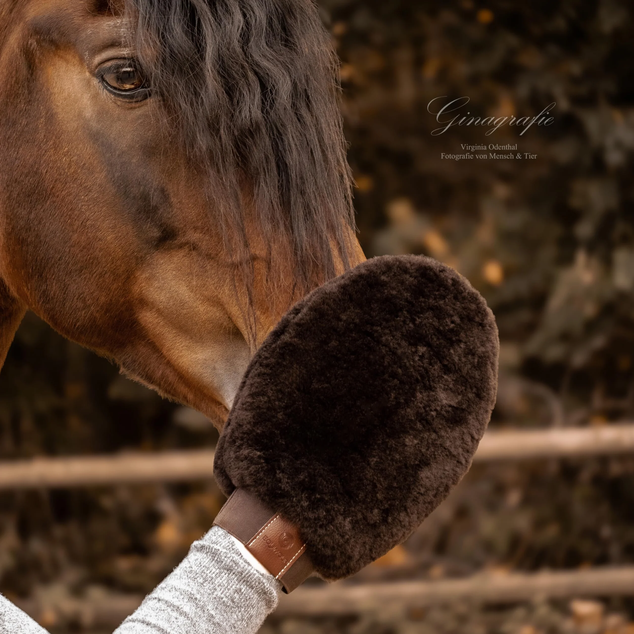 Rękawica do czyszczenia skóry jagnięcej "Bonny" | szczotka do konia | szczotka do pielęgnacji sierści | akcesoria dla koni | akcesoria do czyszczenia koni | pielęgnacja koni