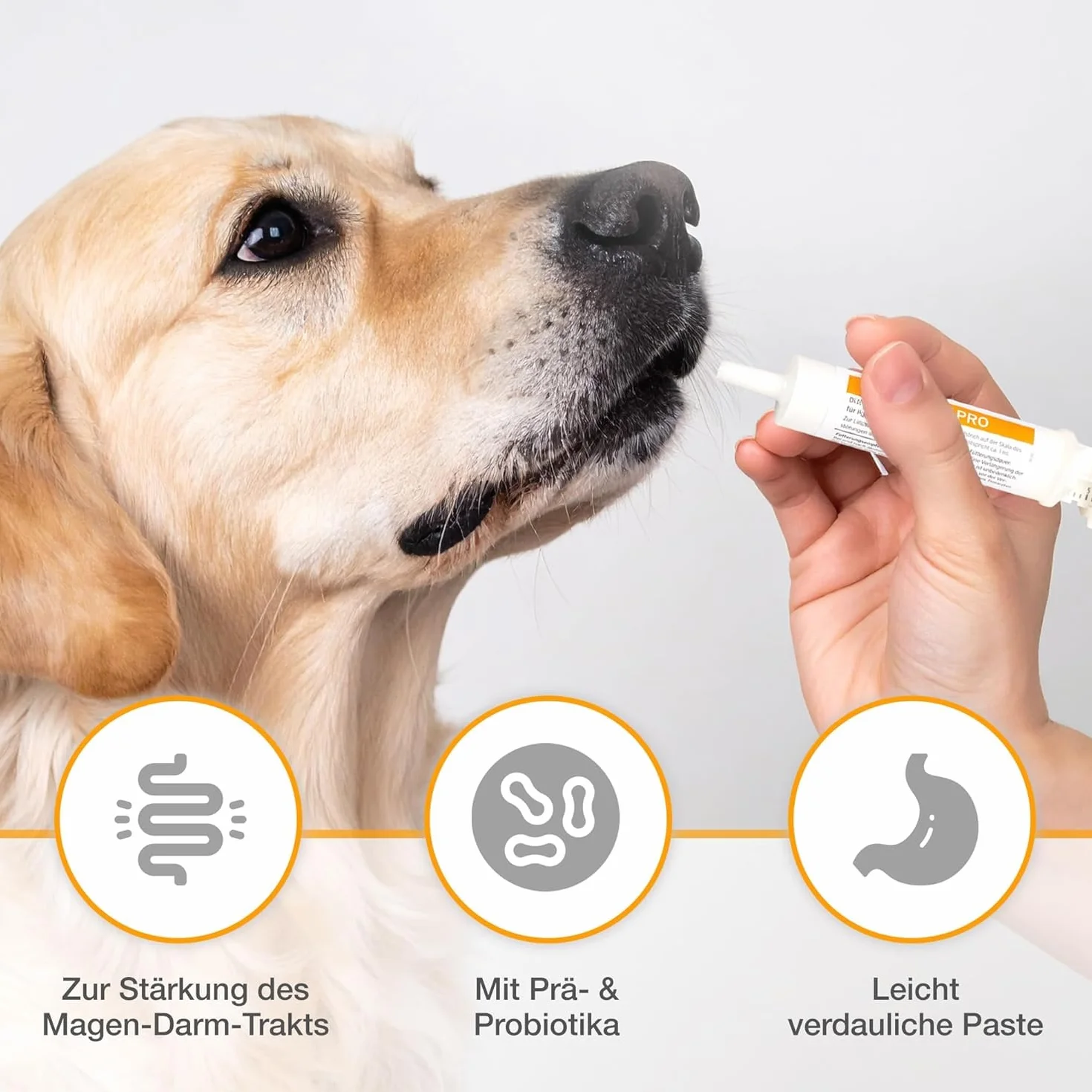 Alfavet DiarPositiv PRO 30 ml – uzupełniająca karma dietetyczna dla psów i kotów – z pro- i prebiotykami do wspomagania flory jelitowej i trawienia – pasta z butyrantem i propionianem, bez dodatku