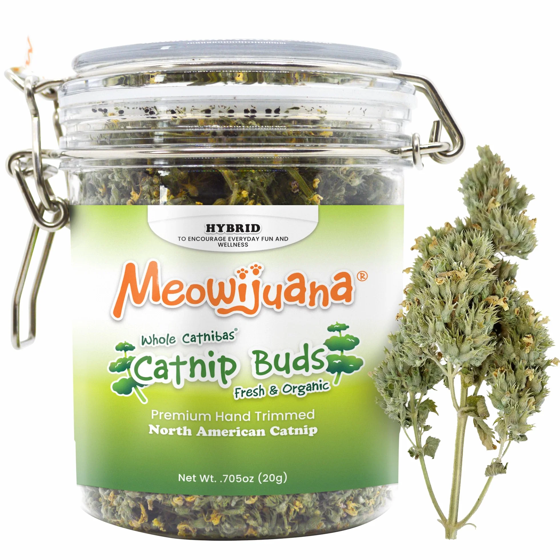 Meowijuana | Catnip Buds | Organic | Dried Premium Catnip | High Potency Cat Treats Cat Toys | Grown in The USA | Feline & Cat Lover Approved | 1 opakowanie