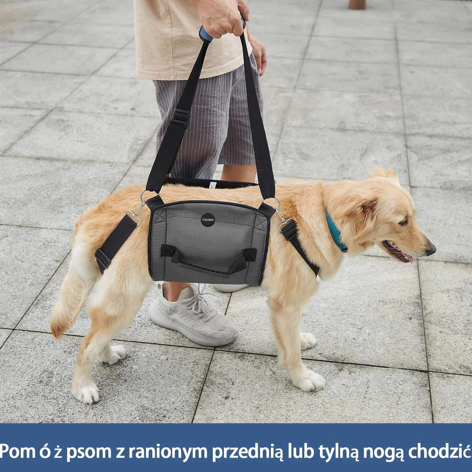 COODEO Dog Carry Sling, Plecak awaryjny dla zwierząt Nogi Wsparcie Dog Lift Harness, Przewoźnik dla psów Artretyzm (XL, czarny)