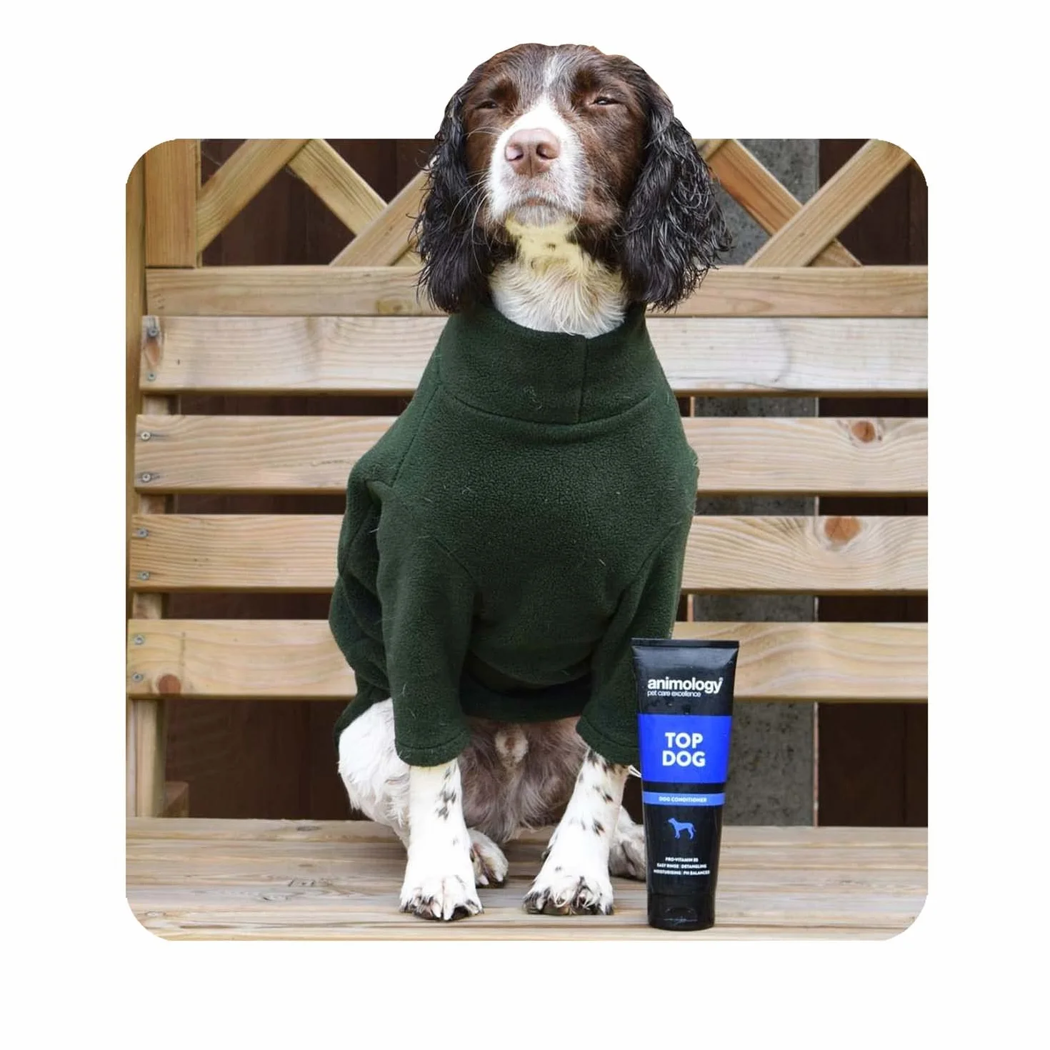 Animology ATD250 odżywka do pielęgnacji psów Top Dog Conditioner