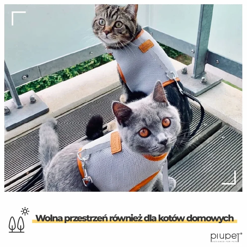 PiuPet® Szelki dla Kota ze Smyczą 1,2m, Odporna na Ucieczkę i Wytrzymała Obroża, Smycz dla Szczeniaków, Rozmiar M