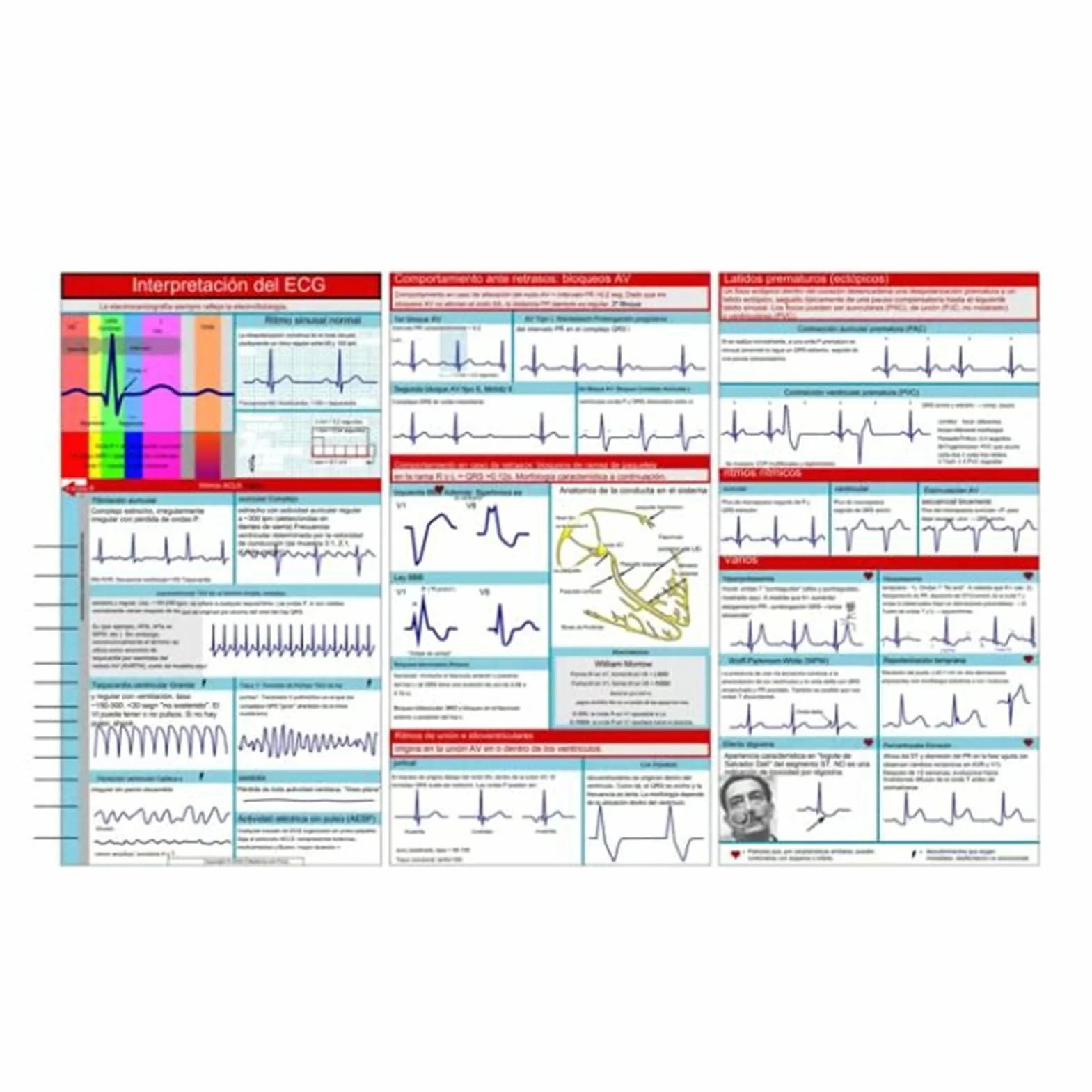 Kieszonkowy przewodnik EKG, karta kieszonkowa EKG, interpretacja rytmu EKG, dwustronna kompaktowa i przenośna karta referencyjna, karty pamięci ratowników medycznych, szybka interpretacja EKG Pocket