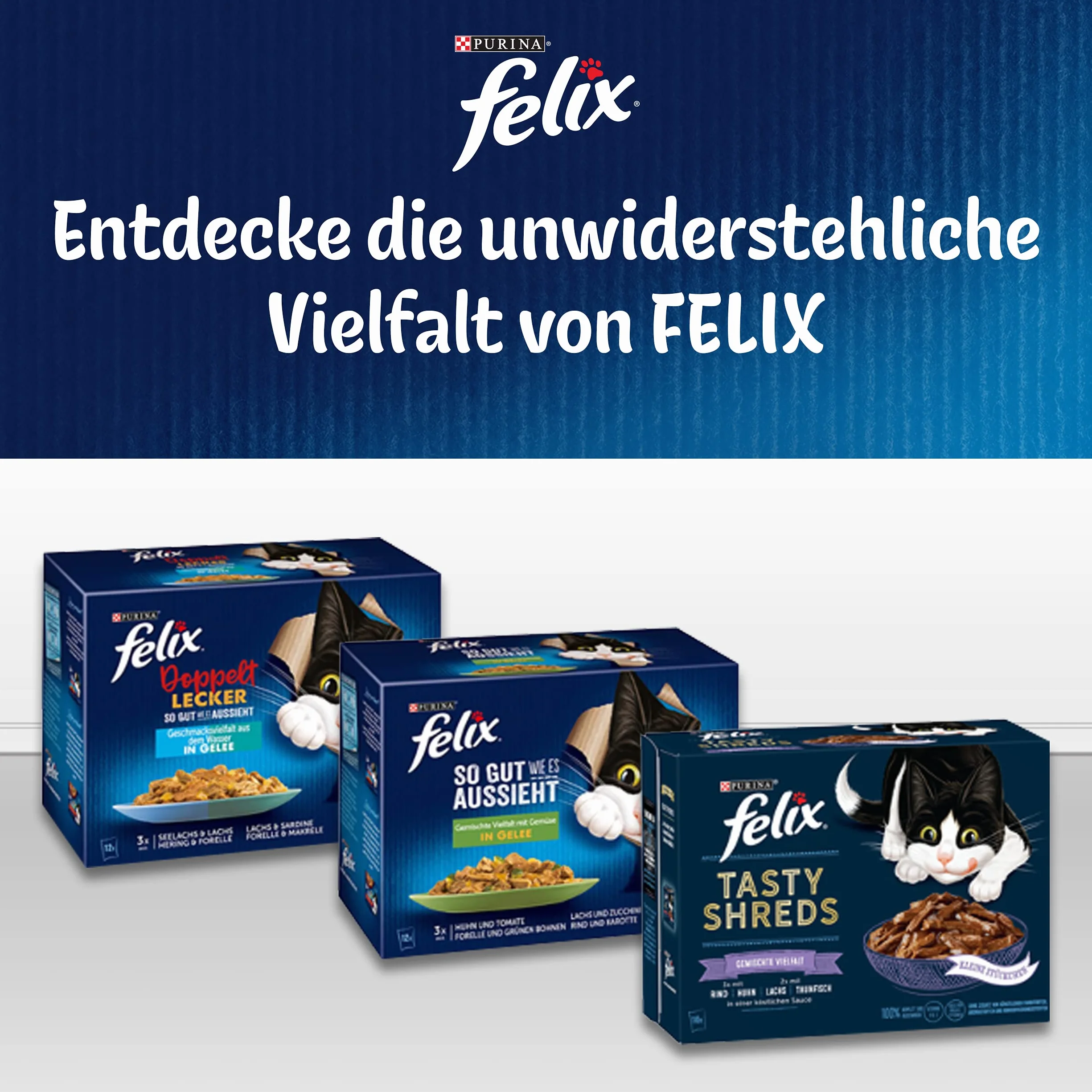 Nestlé Felix Fantastic Karma dla Kota, Miks, 10.2 kg