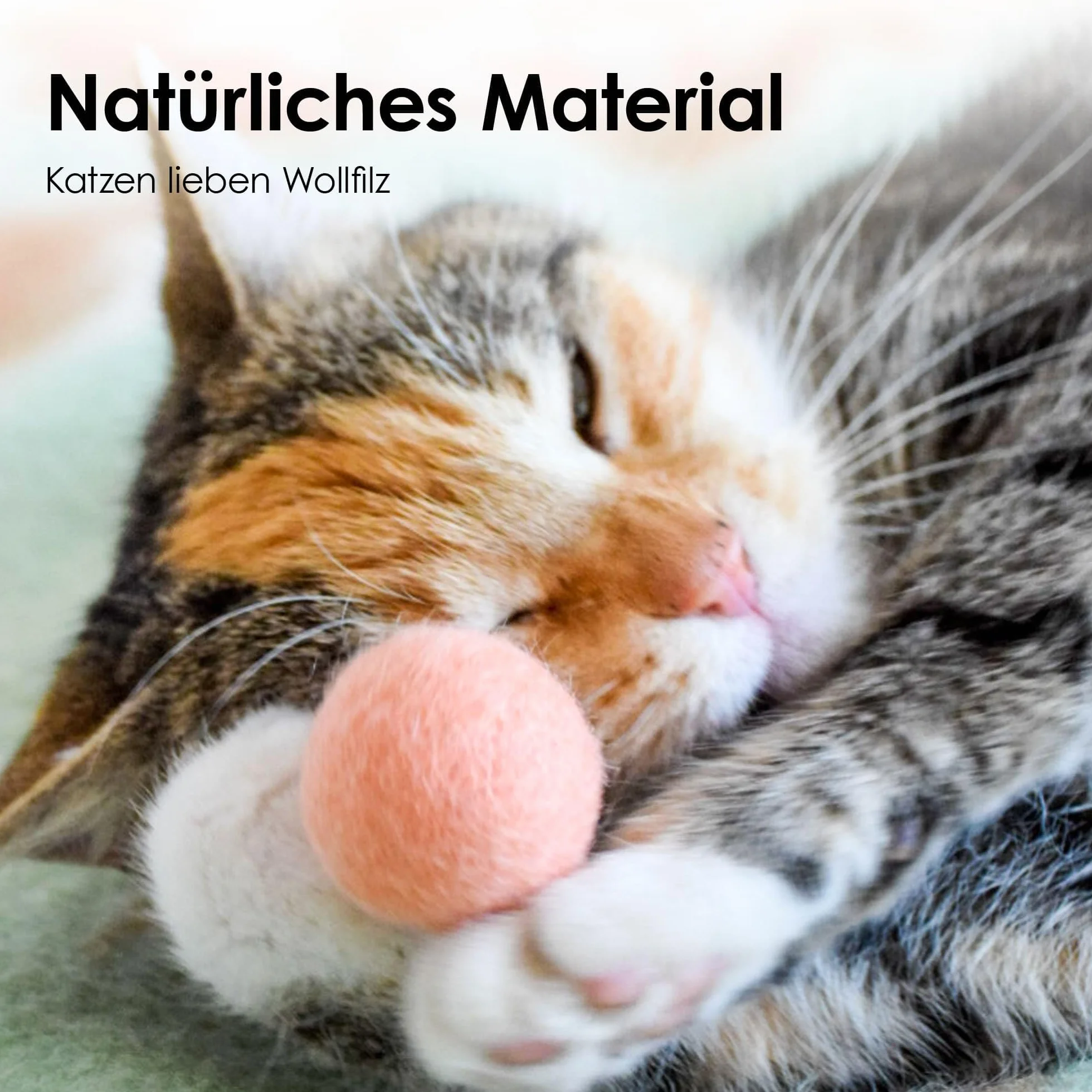 LucyBalu® Filcowe Piłki dla Kotów | Zabawki ze 100% Wełny | Naturalna Zabawka | Fair z Nepalu | 6 Sztuk