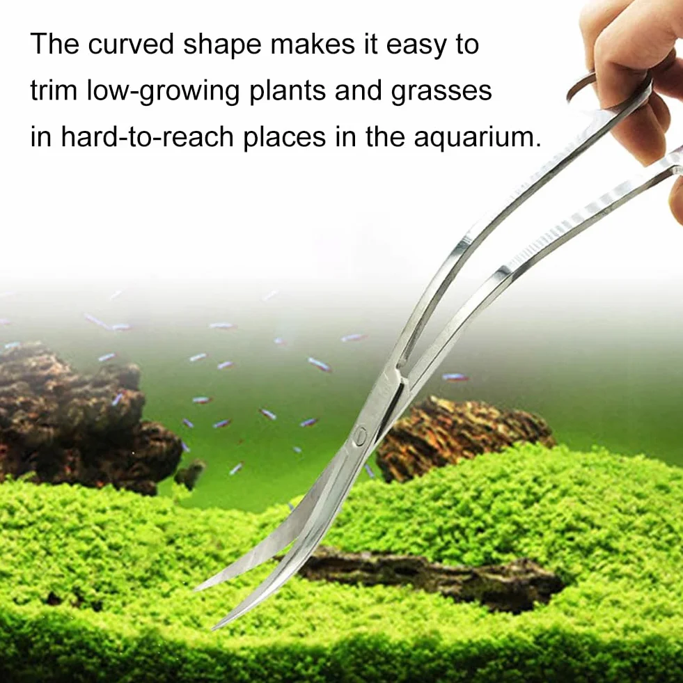 Wave nożyczki do akwarium, 25 cm, zakrzywione, do czyszczenia terrarium, 25 cm, ze stali nierdzewnej, zakrzywiona końcówka, nożyce do akwarium, roślin wodnych, srebrne