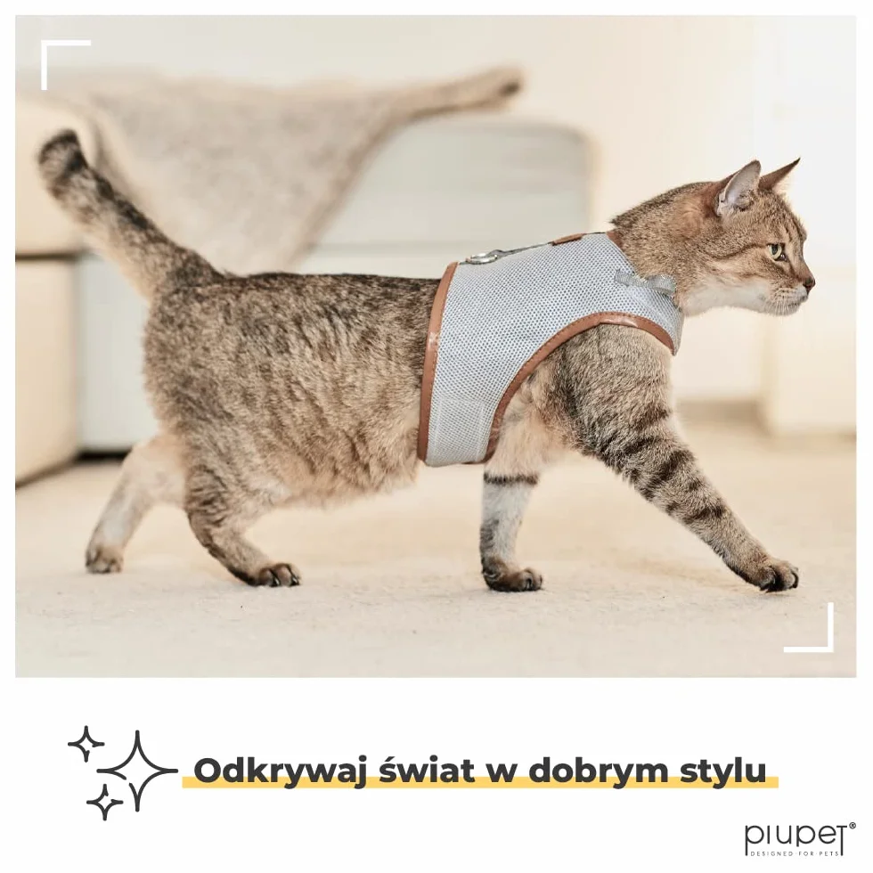 PiuPet® Szelki dla Kota ze Smyczą 1,2m, Odporna na Ucieczkę i Wytrzymała Obroża, Smycz dla Szczeniaków, Rozmiar M