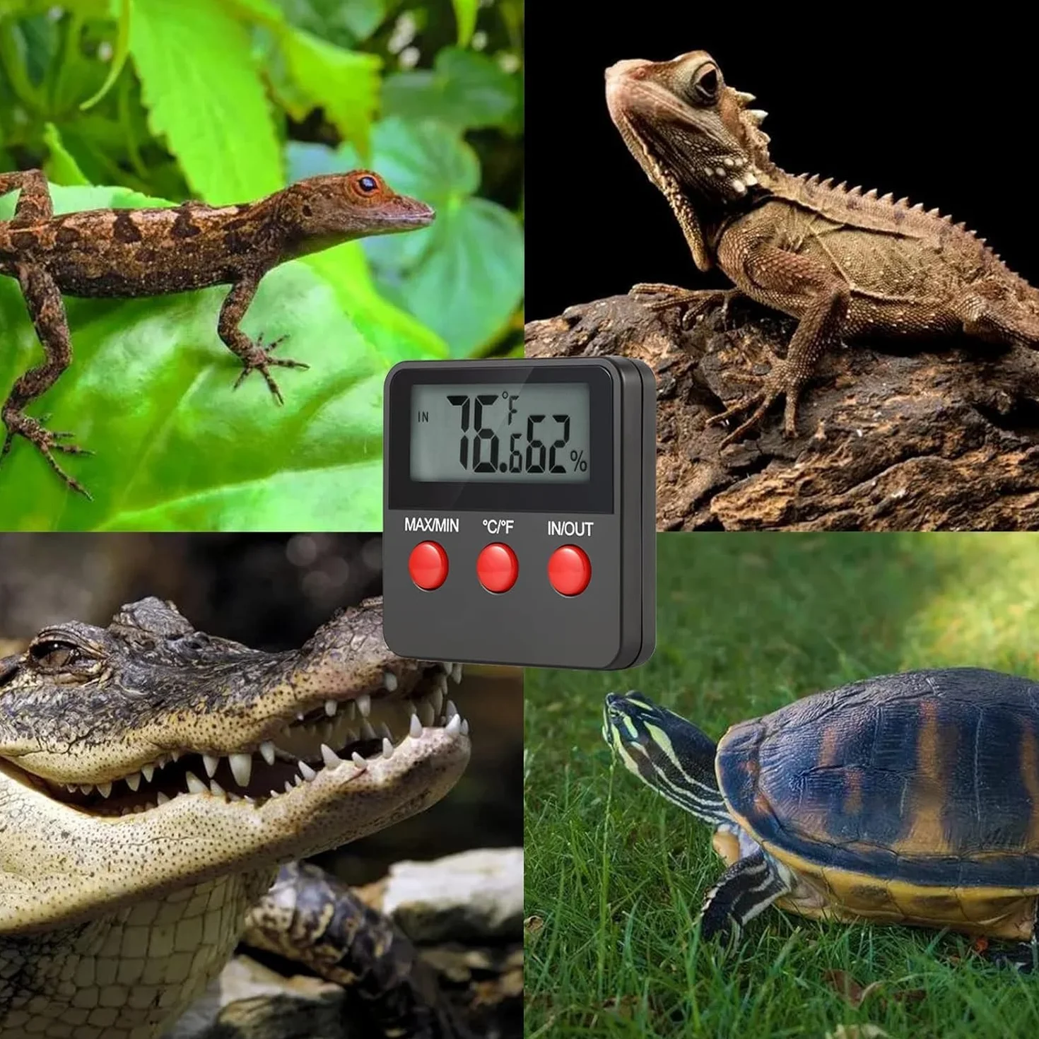 GERUI Cyfrowy termometr/higrometr, pomiar temperatury wewnętrznej, przenośny hydrometr, wilgotność, do terrariów, gadów, zwierząt domowych, salonu