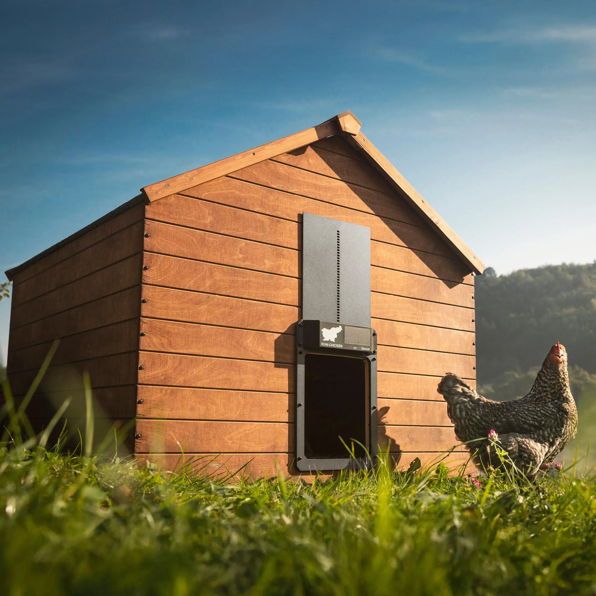 Solarne Automatyczne Drzwi Kurnika Run-Chicken z Timerem i Czujnikiem Światła